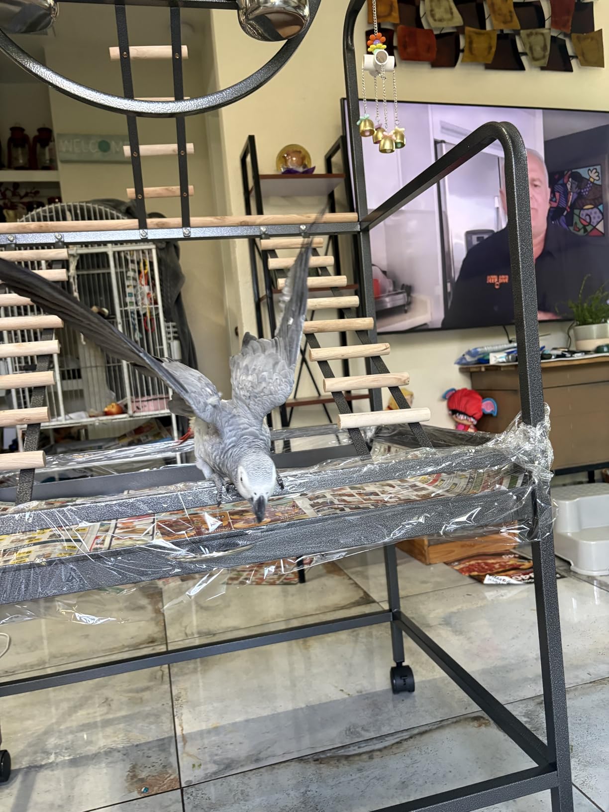 Garvee 64'' H Inch Birdcage Stand Play Center with Perches and Ladders, Indoor Outdoor Playground for Birds, Bird Playstand w/Rotated Ring Removable Tray, Lockable Caster, for Macaw and Parakeet customer photo 2