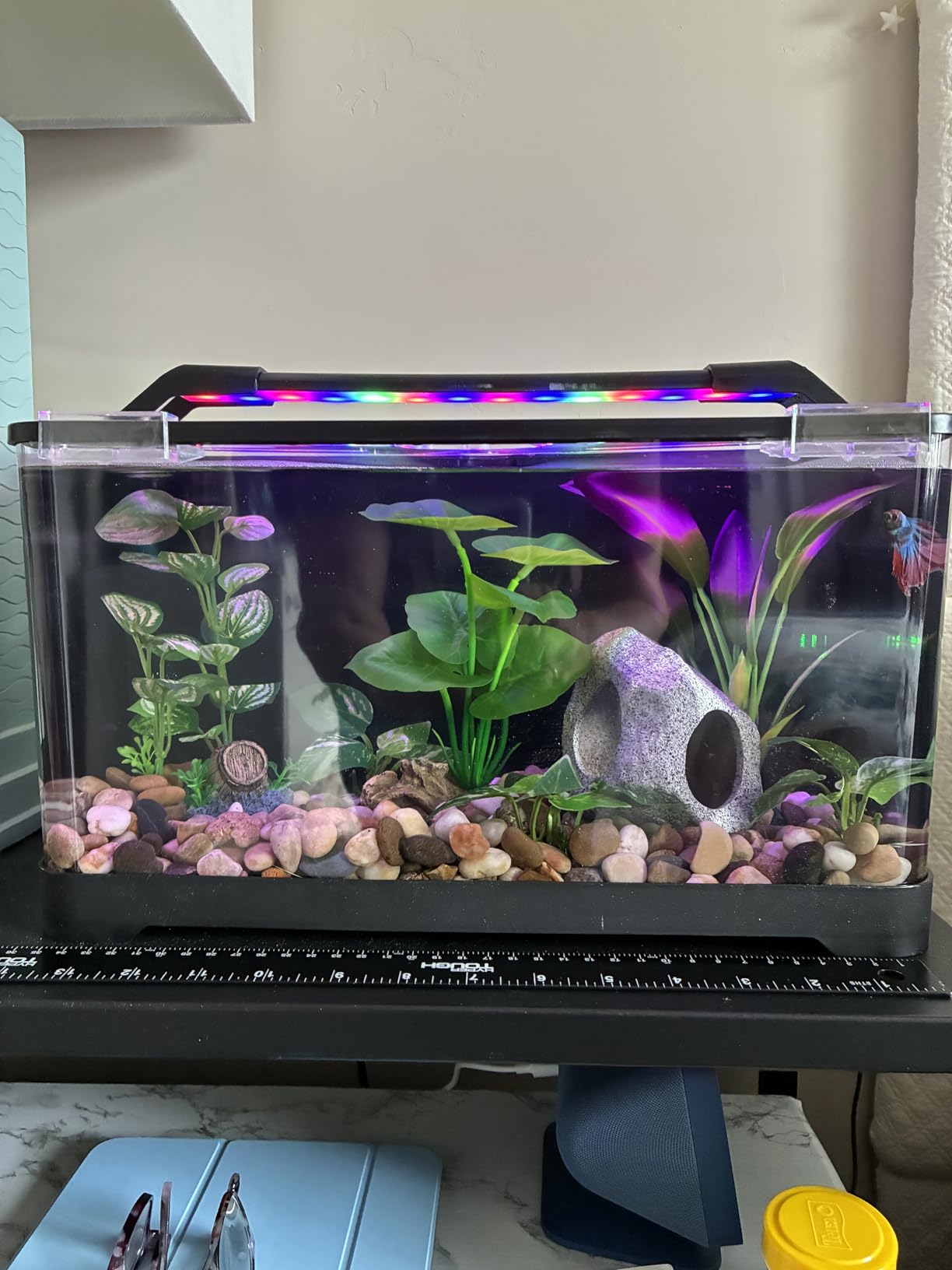 3.5 Gallon Betta Fish Tank, All in One Aquarium Starter Kits with Back Filter, Adjustable Pump, 25W Heater, LED Thermometer, LED Light with Timer & Water Changer Kit, Gifts for Mom Wife customer photo 2