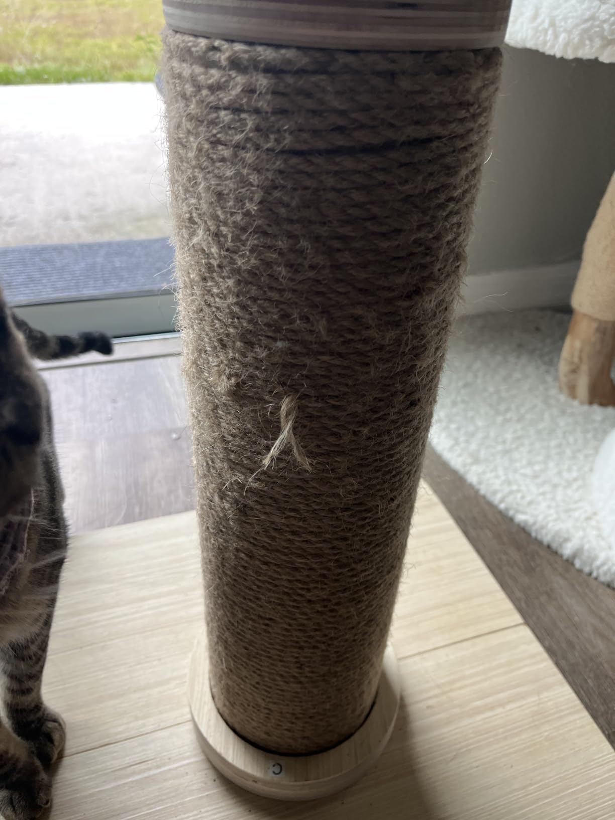 ZOMISIA 35'' Tall Cat Scratching Post, 4.7'' Large Scratch Post with Thicken Wooden Base customer photo 1