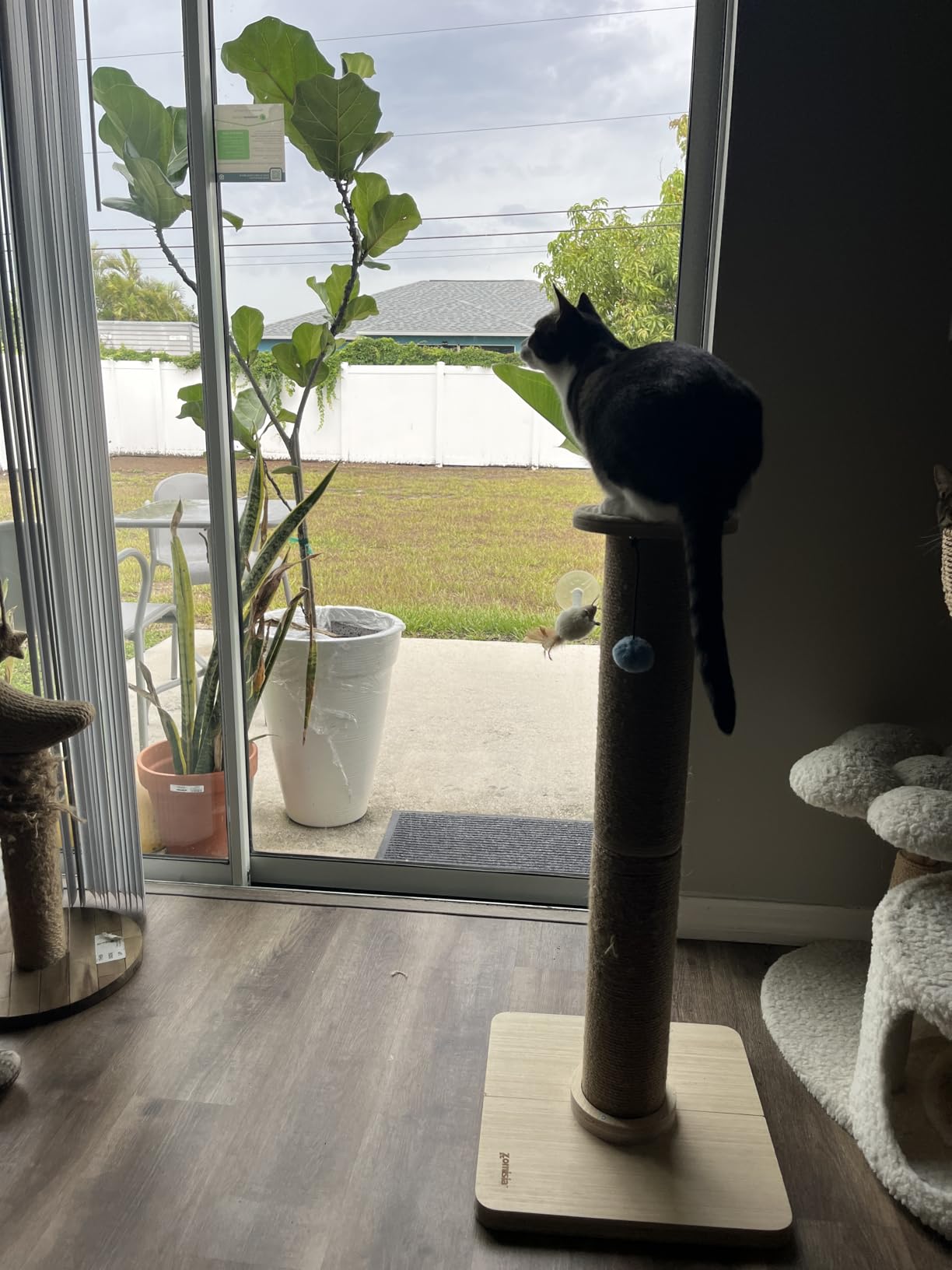 ZOMISIA 35'' Tall Cat Scratching Post, 4.7'' Large Scratch Post with Thicken Wooden Base customer photo 2