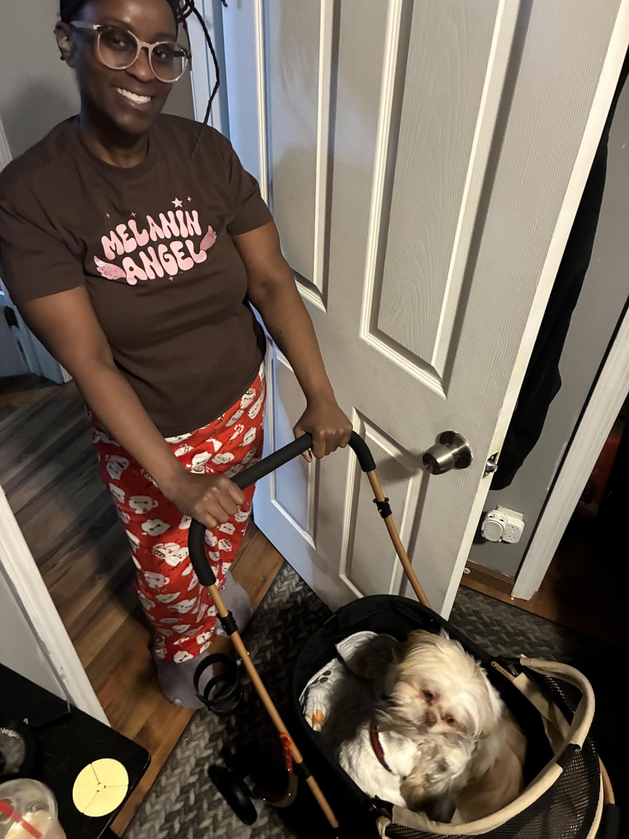 Pet Stroller, 22