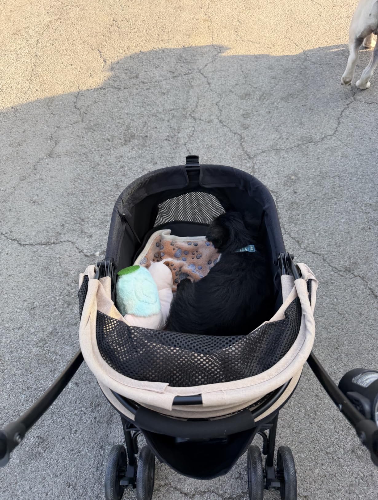 Pet Stroller, 22