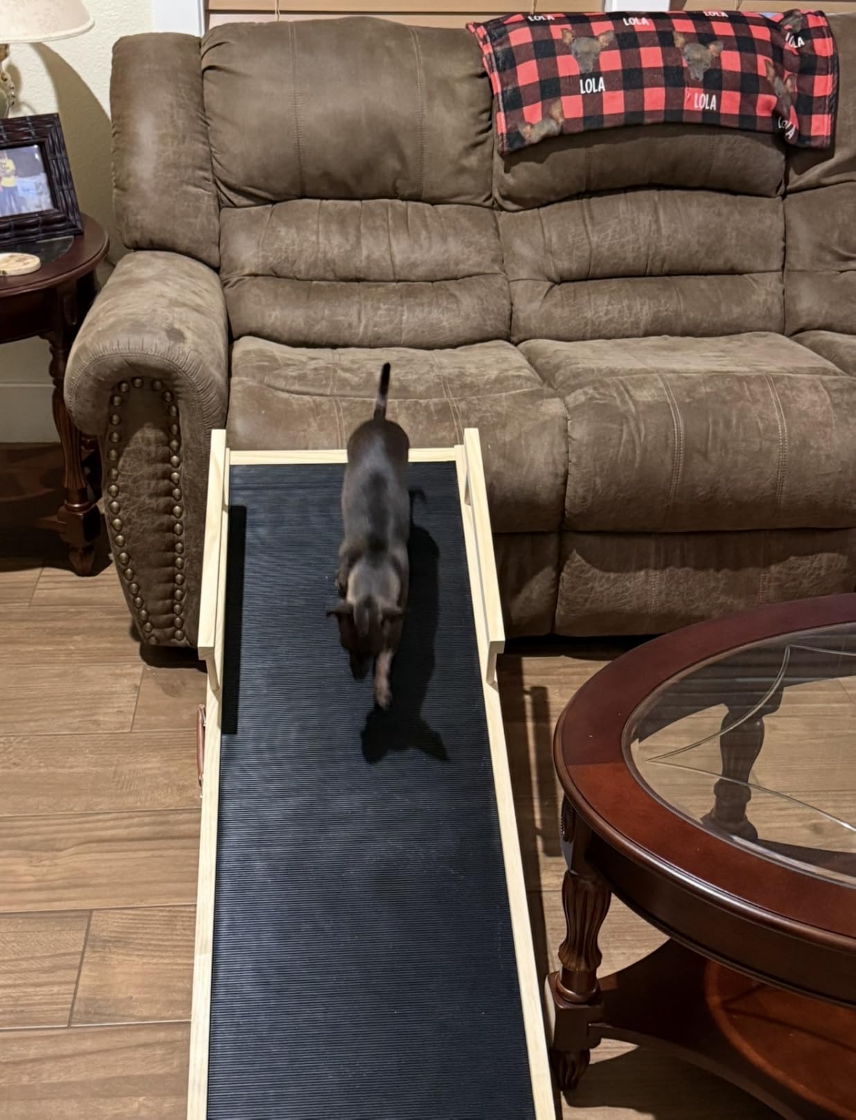 Dog Ramp for Couch with Non-Slip Silicone Mat, 39