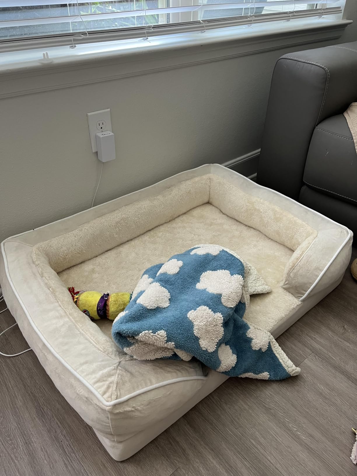 Comfort Expression Orthopedic Dog Bed for Large Dogs 36x27 Inch, Waterproof Egg Crate Foam Large Pet Bed with Bolsters, Dog Couch with Washable Cover & Non-Slip Bottom, American Flag 2 customer photo 1
