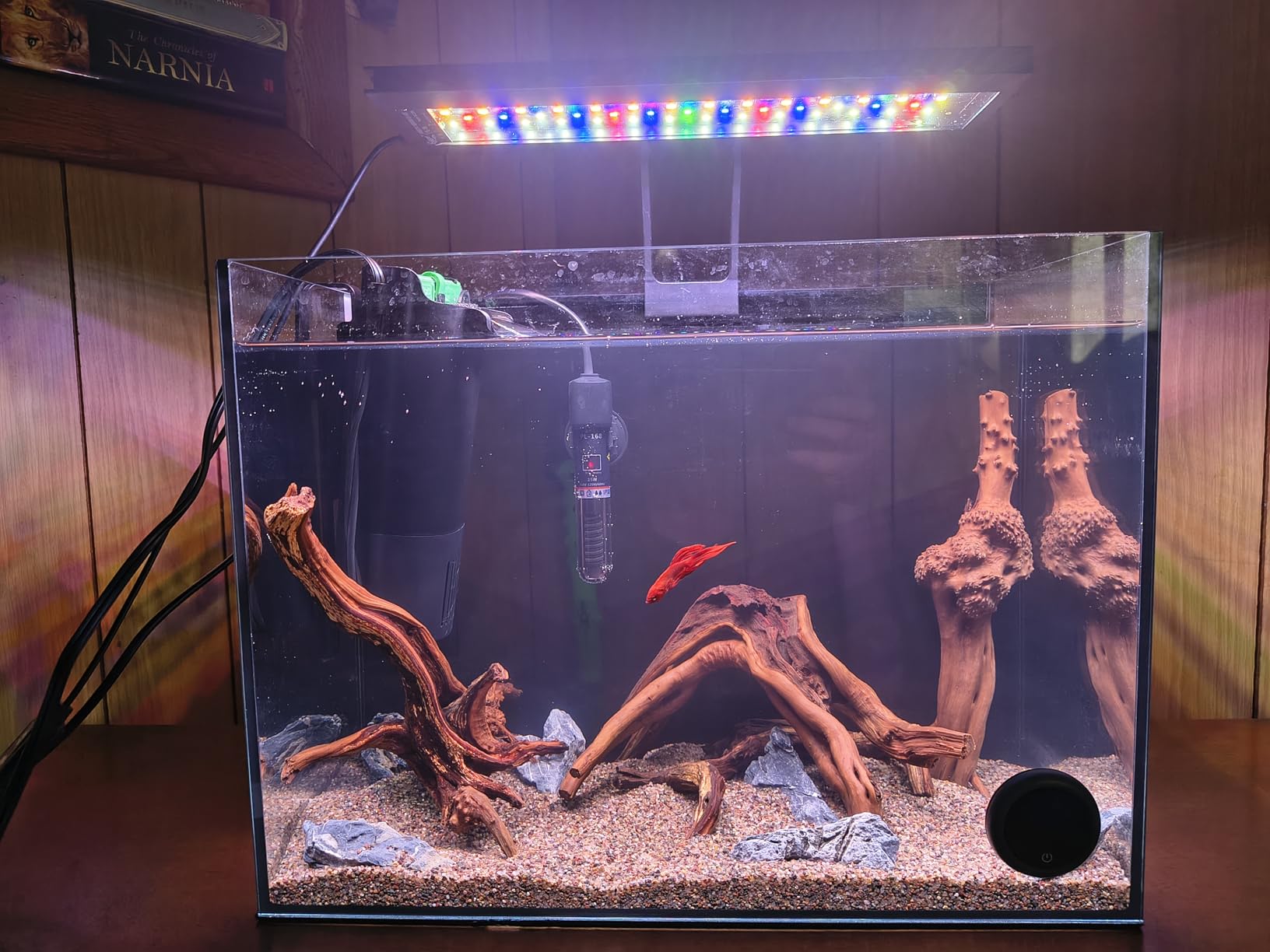 10 Gallon Glass Fish Tank Open-Back Lid, Aquarium Fish Bowl Cube for Betta Goldfish Snails Shrimp Aquatic Planting, Ultra Clear Rimless Low Iron customer photo 1