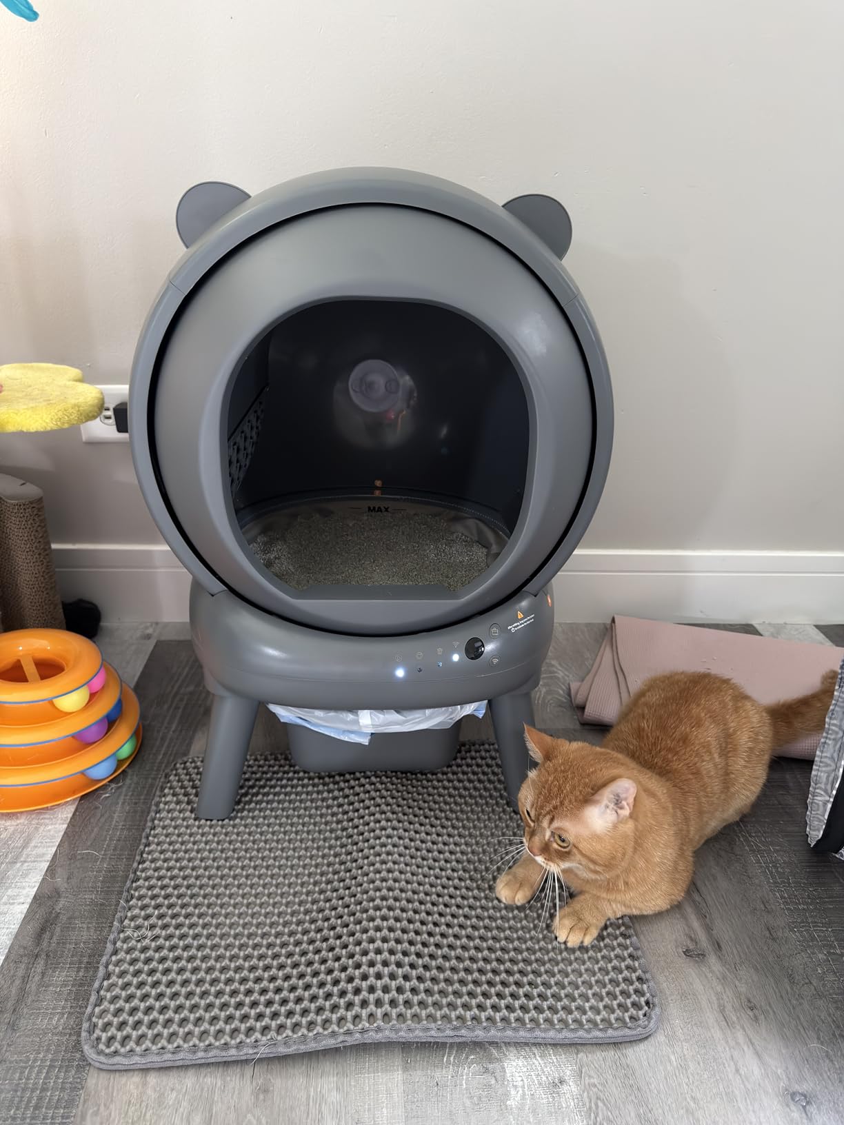 Automatic Litter Box, Self Cleaning Litter Box with App Control, Large Capacity for Multiple Cats, Noise & Odor Control, Dual Safety Sensors, Easy Maintenance with 2 Roll Garbage Bags, Gray customer photo 1
