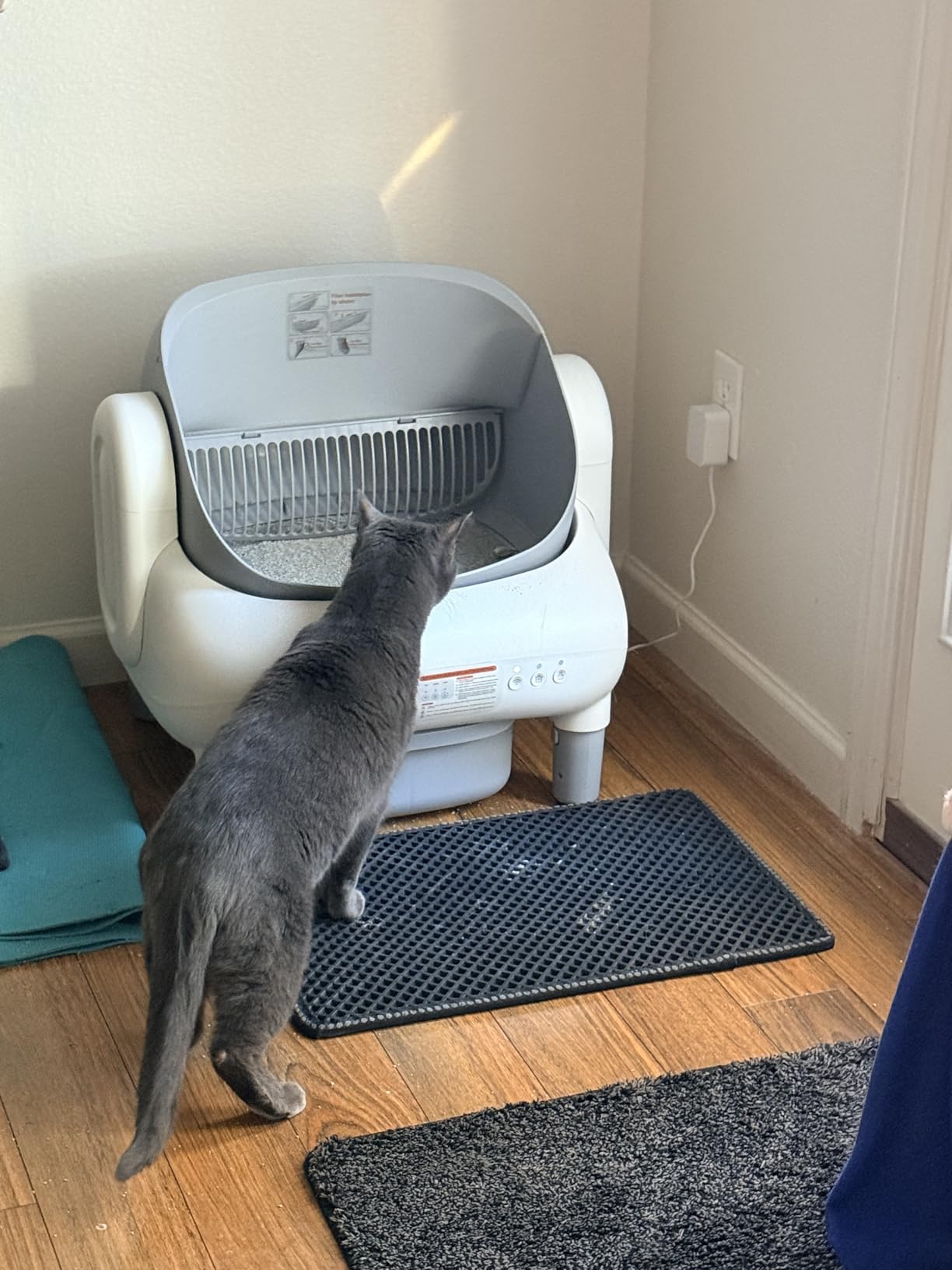 Automatic Cat Litter Box, Self Cleaning Litter Box for Multiple Cats with Open Top Design, App Control and Safety Protection, Ultra-Quiet, Easy Setup, Light Gray customer photo 2
