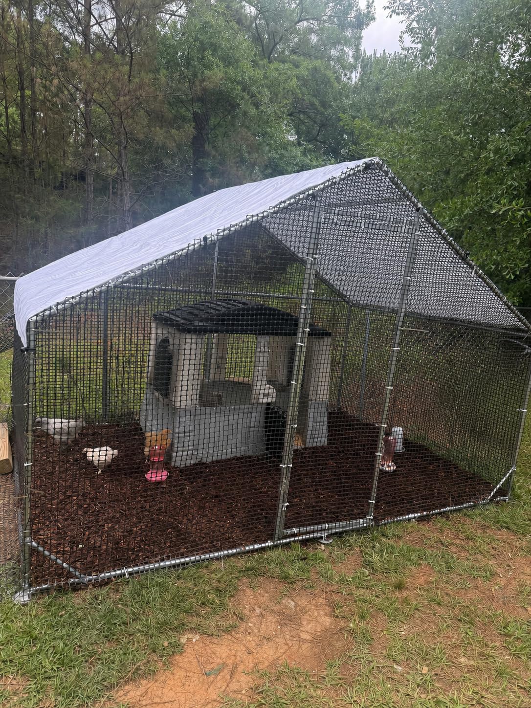 CAMMOO Metal Chicken Coop with Run, 19.7x9.8x6.6ft, Walk-in Chicken Run for Yard with Cover, Upgrade Double Lock & Tough Mesh, Stainless Steel Ties, Easy Assembly, Chicken Pen for Ducks, Rabbits customer photo 1
