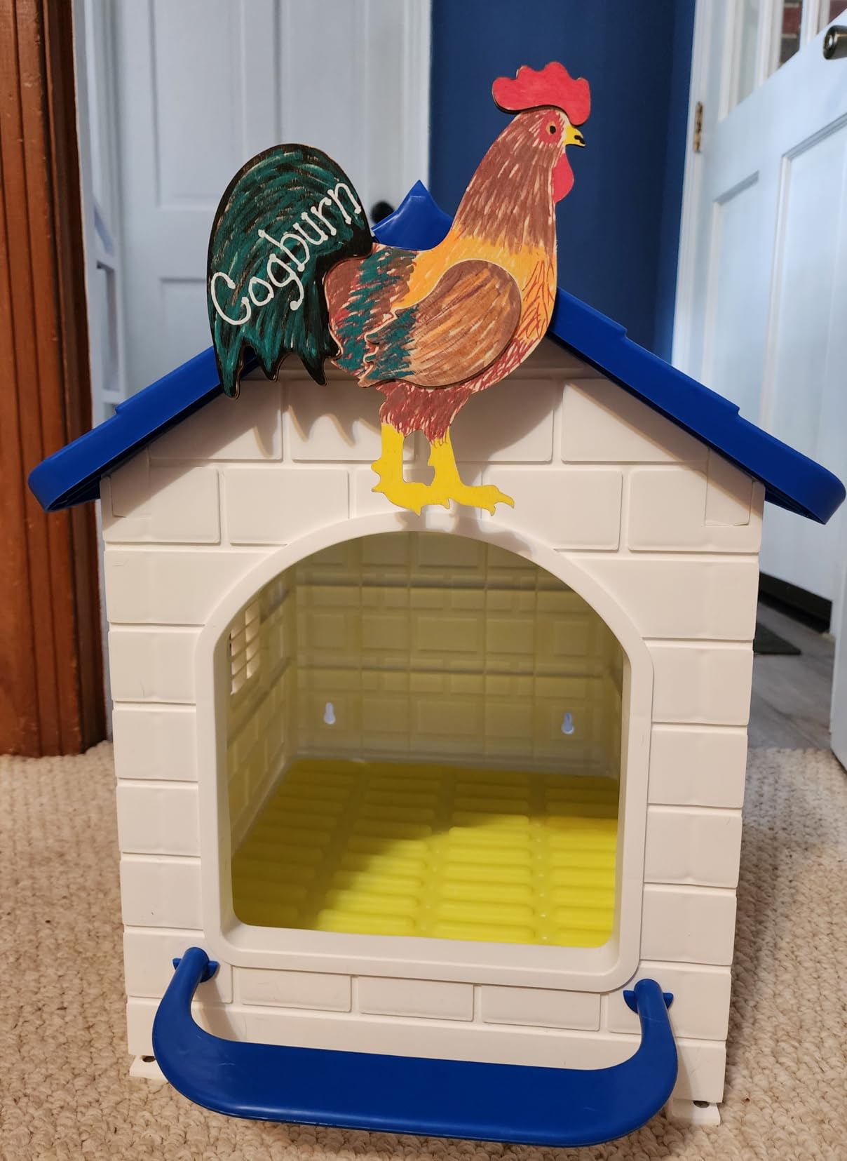 Rockever Chicken Coop with Run, Plastic Nesting Boxes for Chickens with Door Or Ramp, 60