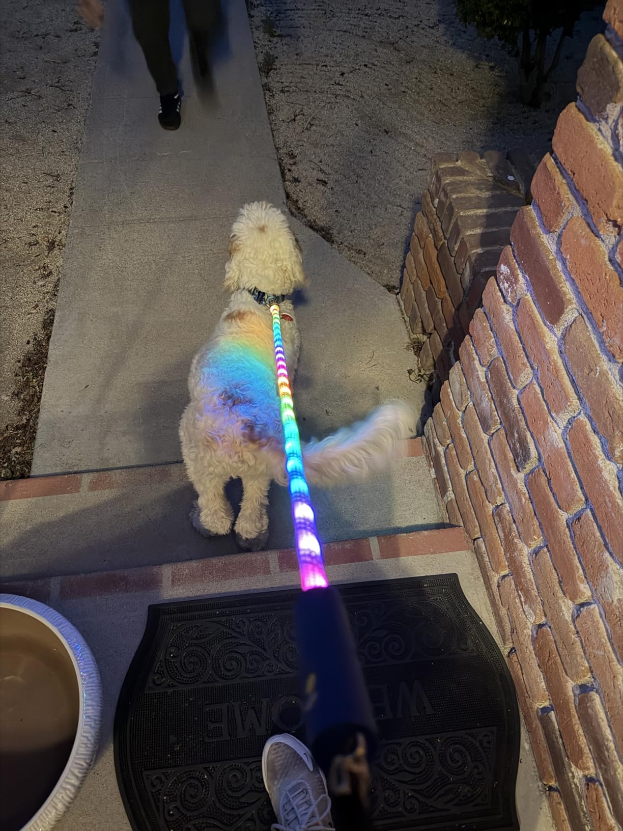 Light Up Dog Leash, LED Pet Leash for Night Walking,13 Lighting Modes, Rechargeable Dog Lights, Glow in The Dark Walking Leashes with Tangle-Free Hook for Medium Large Dogs - 4 Ft customer photo 1