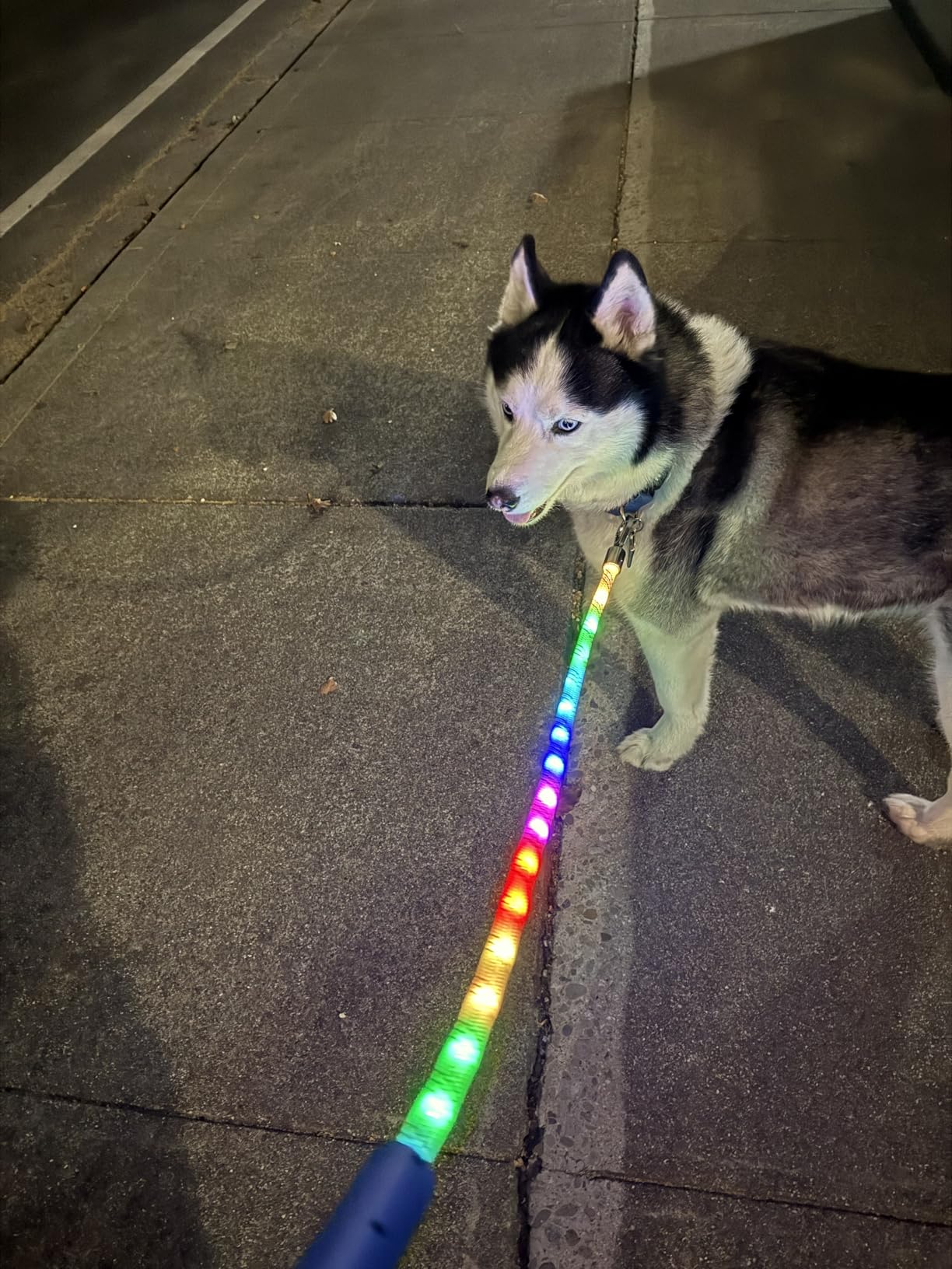 Light Up Dog Leash, LED Pet Leash for Night Walking,13 Lighting Modes, Rechargeable Dog Lights, Glow in The Dark Walking Leashes with Tangle-Free Hook for Medium Large Dogs - 4 Ft customer photo 2