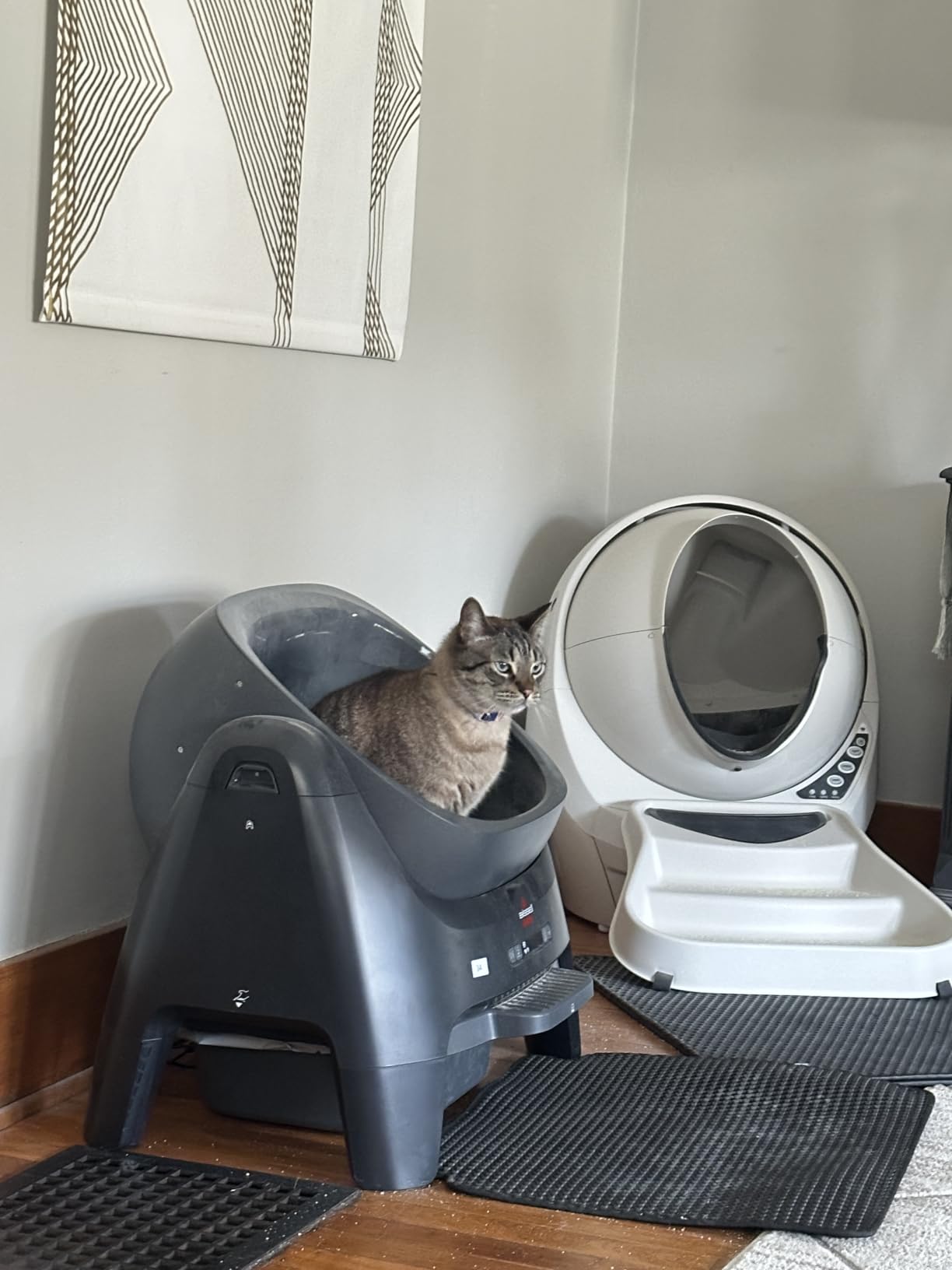 BISSELL CleanWell Automated Cat Litter Box with OdorVault Technology, 20-Day XL bin Capacity, App Control & Health Monitoring customer photo 1