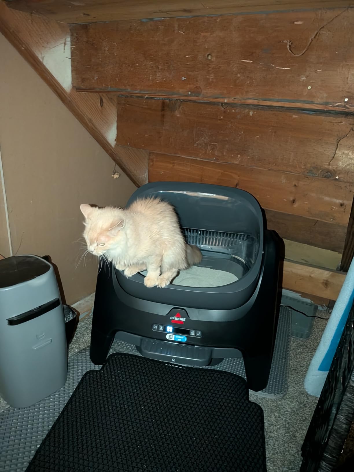 BISSELL CleanWell Automated Cat Litter Box with OdorVault Technology, 20-Day XL bin Capacity, App Control & Health Monitoring customer photo 2