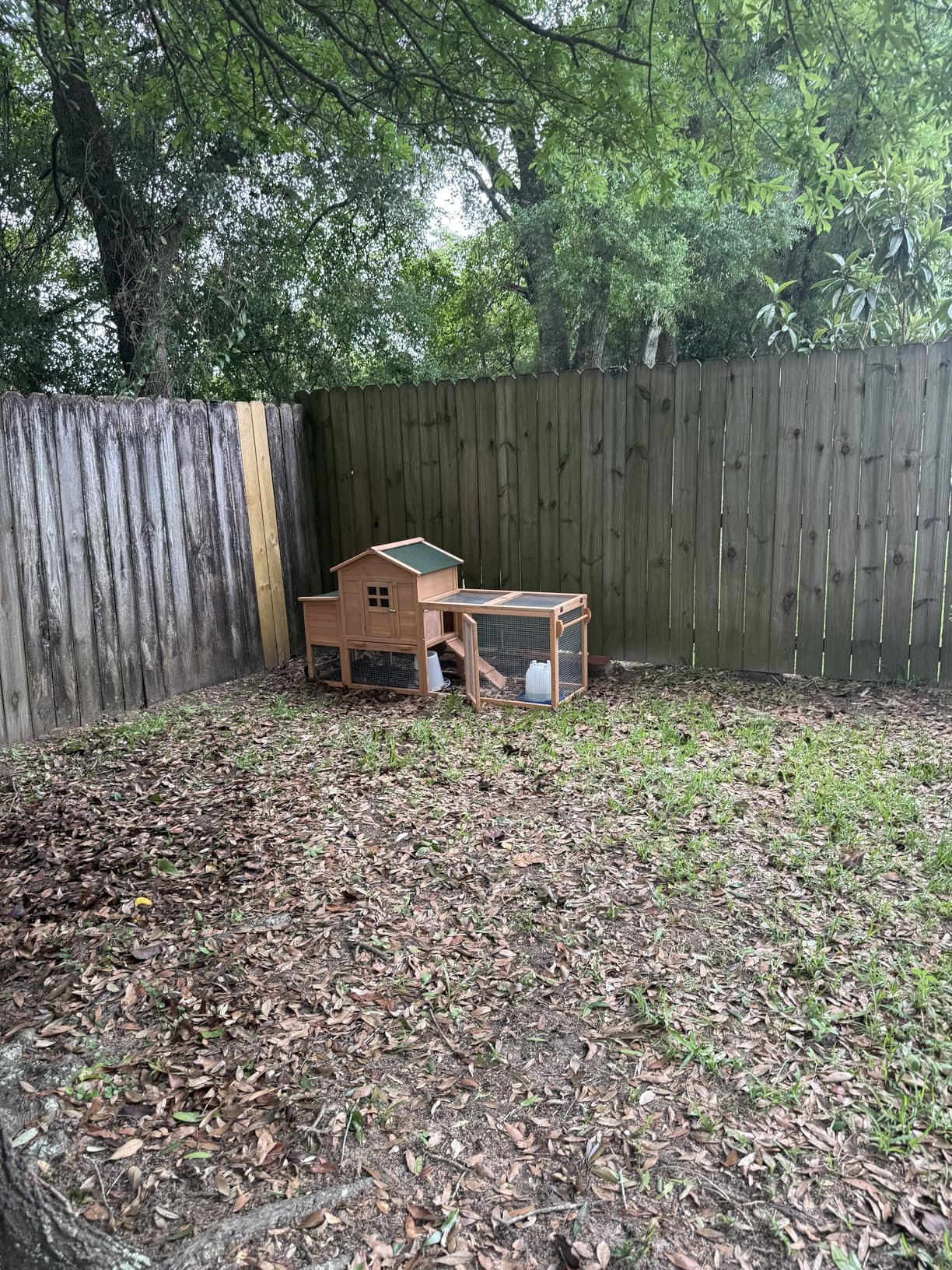 Chicken Coops for 1-2 Chickens with Wheels, Outdoor Wooden Hen House with Nesting Box, Large Rabbit Hutch, Outside Poultry House, Wire Fence Run Cages, Weatherproof for Backyard (Black) customer photo 1