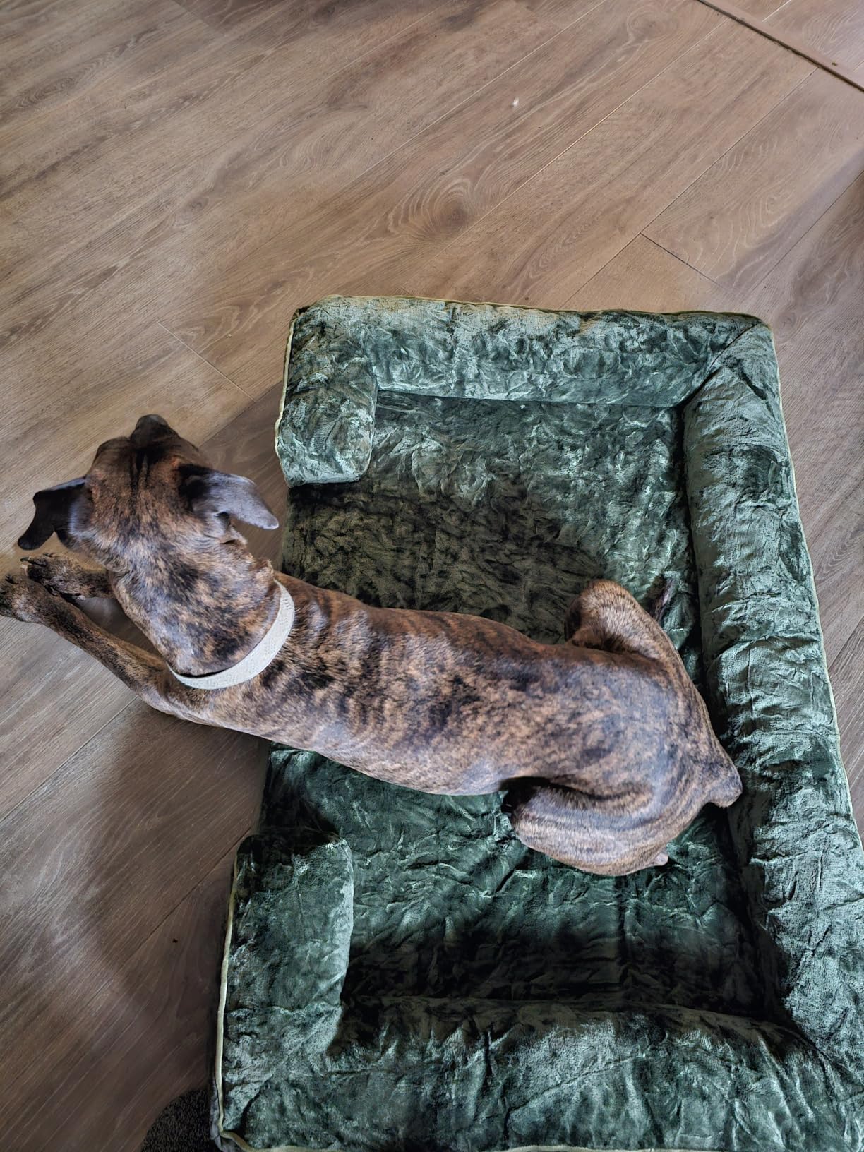 OhGeni Orthopedic Cooling Dog Bed Couch, Cooling Big Pet Sofa for Extra Large Sized Pets with Memory Foam, Machine-Washable Waterproof Removable Cover, Soft Comfortable Fabric, 44-inch (Cool Gray) customer photo 1