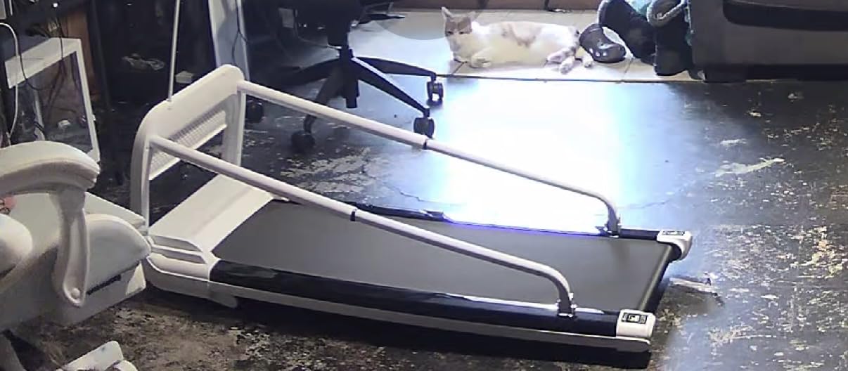Lastforever Dog Treadmill for Small & Medium Dogs, Quiet 2.5HP Motor, Remote Control, LED Display, Indoor Pet Exercise Machine customer photo 1