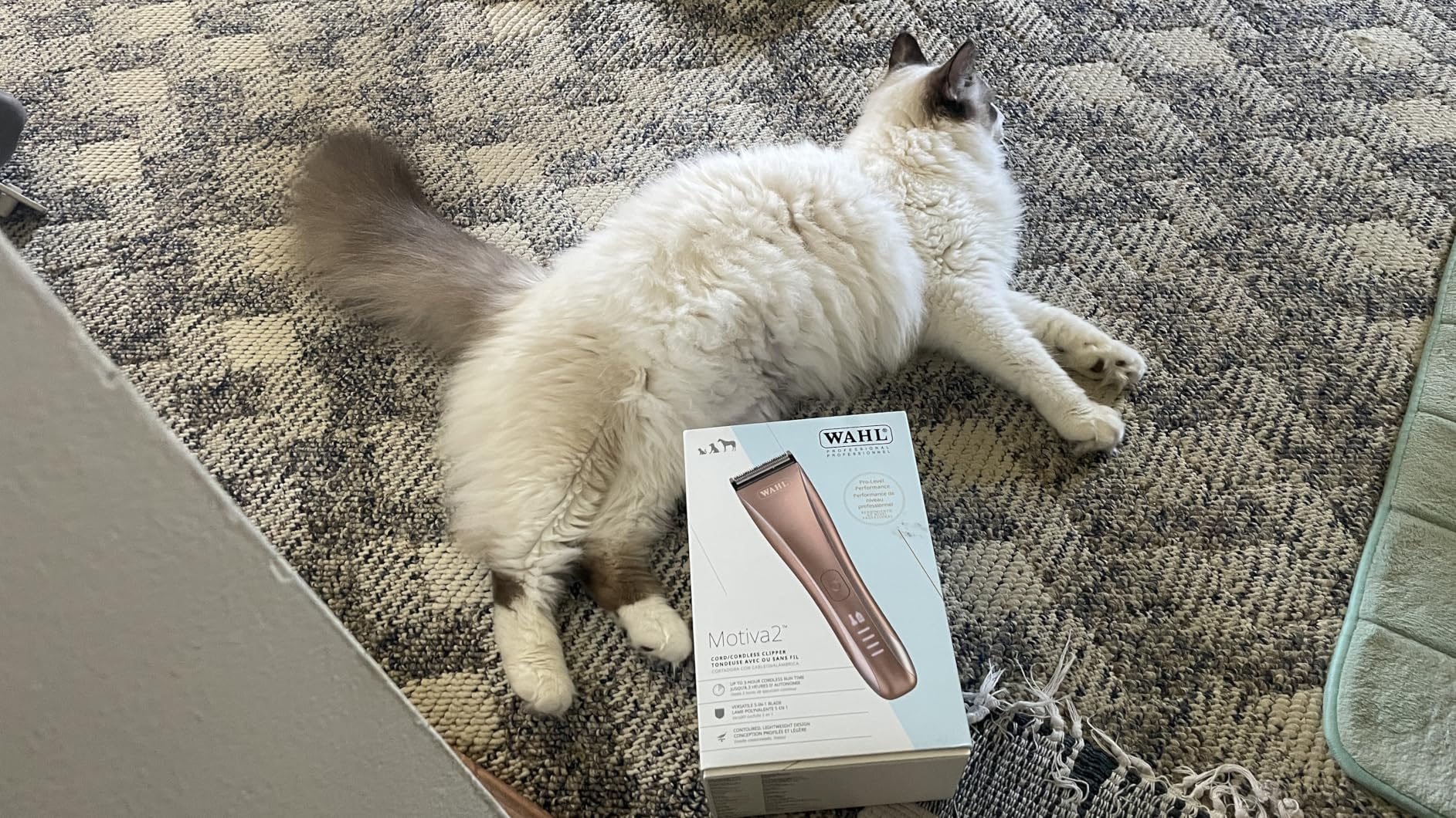 Wahl Pro Animal Motiva2 - Professional Pet Clipper for Dogs, Cats & Horses - Cordless - Digital Display with LED Indicator - Textured Grip - Easy to Carry & Travel Lock - Blue Ivy customer photo 1