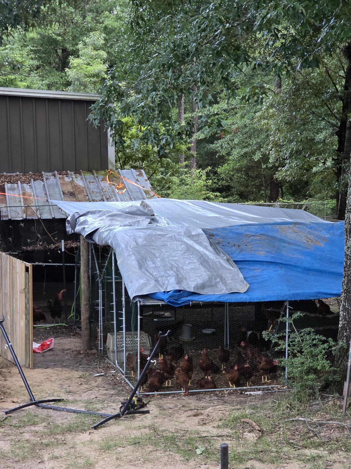 COMHOMA 13x10x6.6FT Large Metal Chicken Coop, Galvanized Steel Walk-in Chicken Run with Waterproof Roof & Lockable Door, Outdoor Poultry Cage for Hens, Ducks, Rabbits customer photo 1