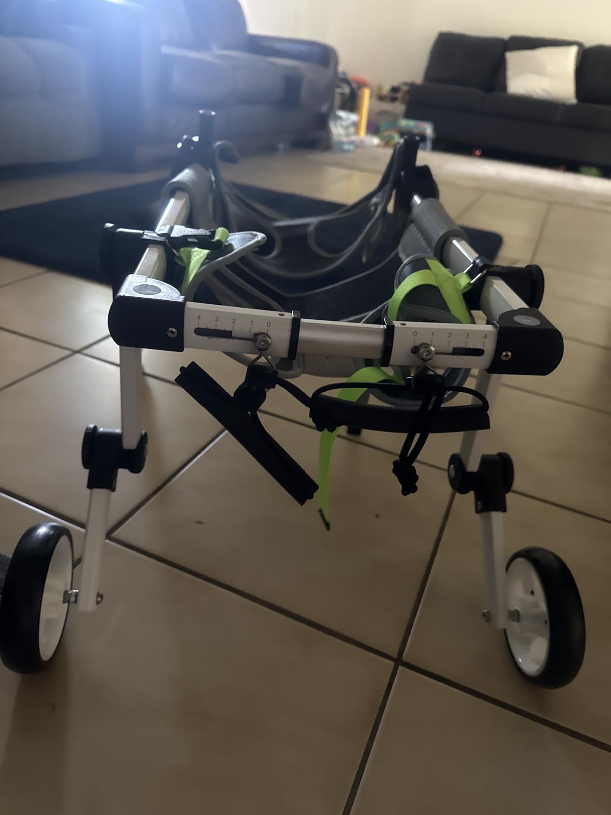 Dog Wheelchair 4 Wheels Adjustable, Full Body Support Dog Cart for Front & Rear Legs, Lightweight Mobility Aid for Disabled Small Dogs customer photo 2