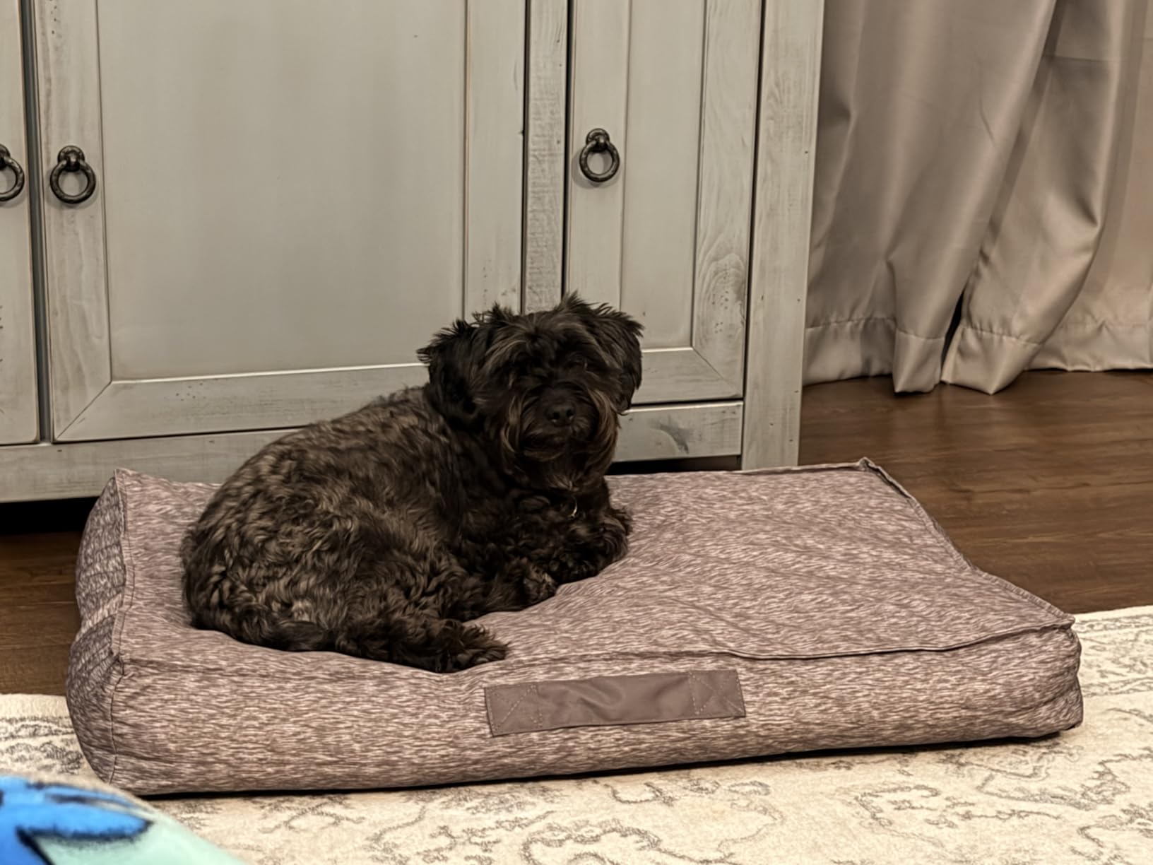 Best Friends by Sheri Dura-Tuff Dog Bed, Durable & Chew-Resistant with Water-Resistant Base, Shredded Foam & Plush Polyfill, Orthopedic Comfort for Dogs & Puppies, Indoor/Outdoor, Gray, 30