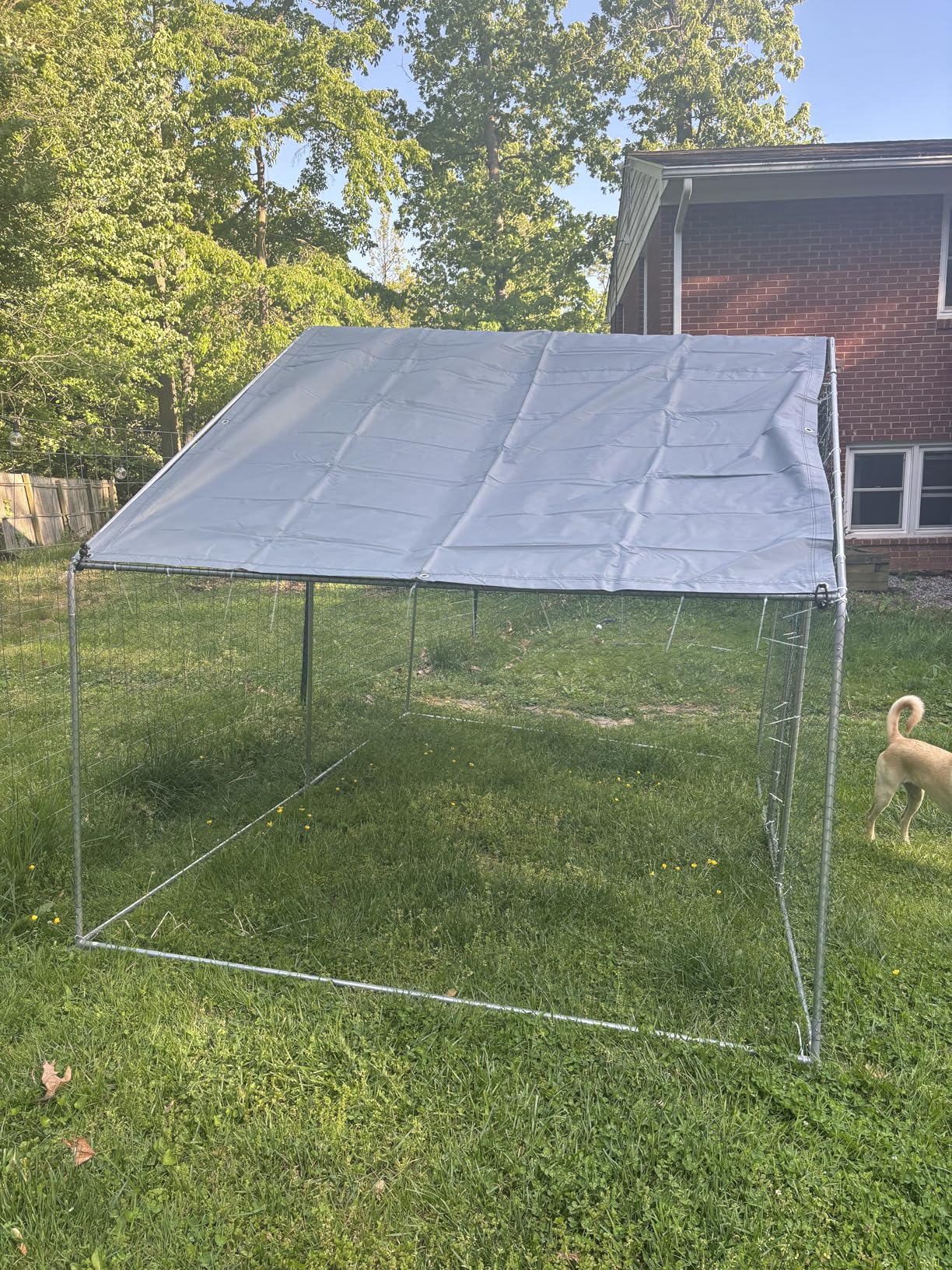 Large Metal Chicken Coop Round Top Upgrade Tri-Supporting Wire Mesh Chicken Run, Chicken Pen with Water-Resident and Anti-UV Cover, Duck Rabbit House Outdoor (Spire Roof 10' W x 26.2' L x 6.5' H) customer photo 1