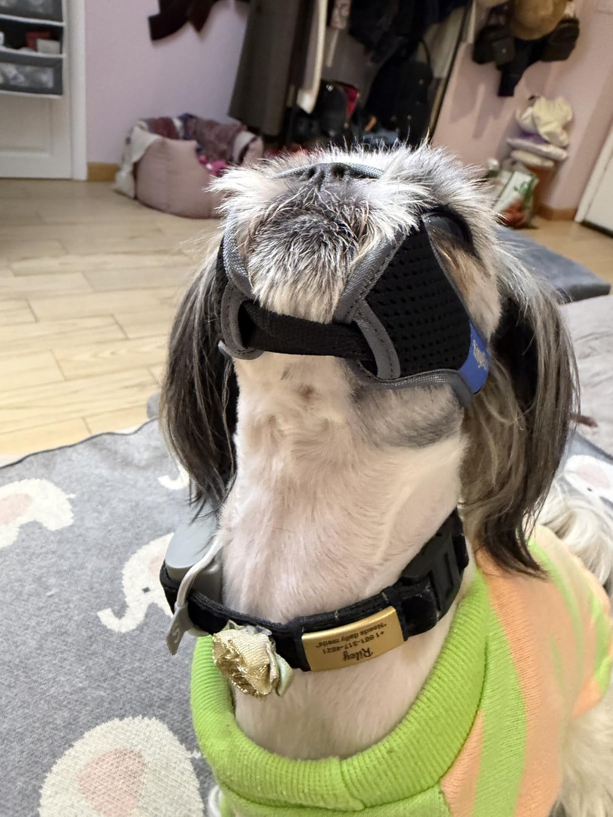 One-Pull Adjustable Dog Muzzle for Small Dogs, No Size Guessing, Soft Comfort Fit, Allows Panting & Drinking, Prevents Biting, Size 1 (Snout Length: 1.4-1.9