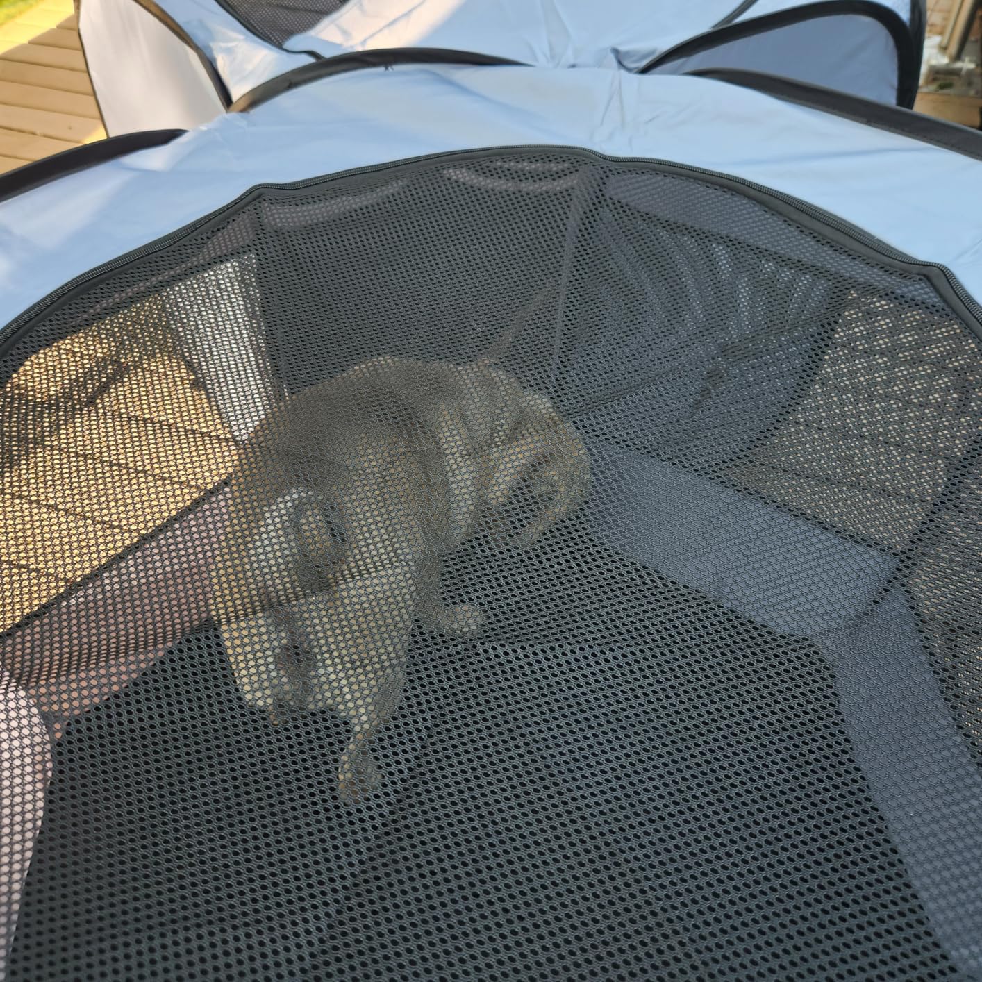 Catio Outdoor Cat Enclosure Pop up Cat Tower Tent Cat Playpen w/Breathable Mesh Portable Catio Kitten Pet Animal Play Pen Indoor Enclosed Kitty Patio Balcony Camping(Square,XL) customer photo 2