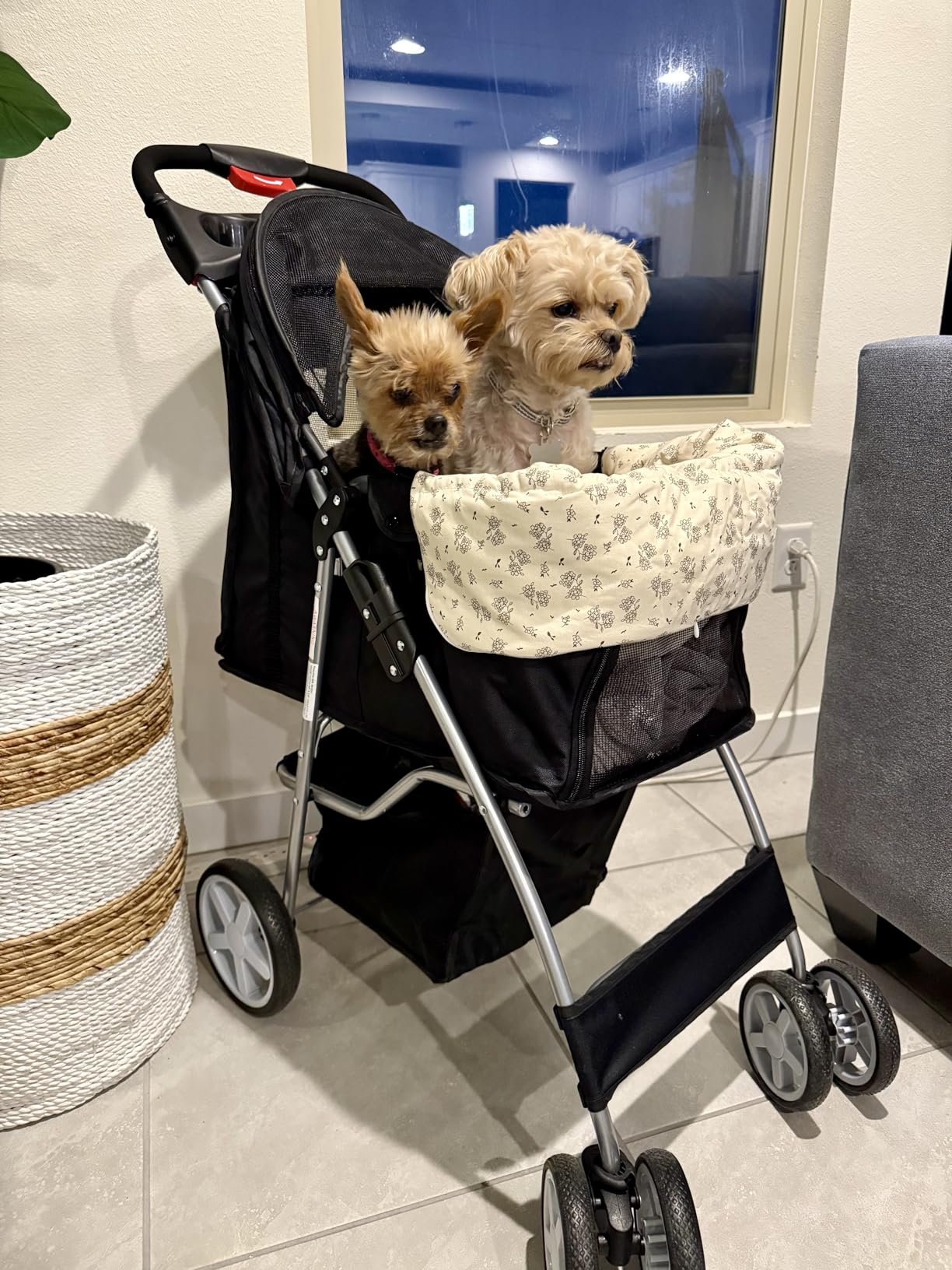 Giantex Foldable Pet Stroller for Small Dogs & Cats, Lightweight Dog Stroller with Lockable Wheels, One-Hand Quick Fold, Adjustable Canopy, Safety Leash & Storage Basket, Pet Travel Stroller, Beige customer photo 1