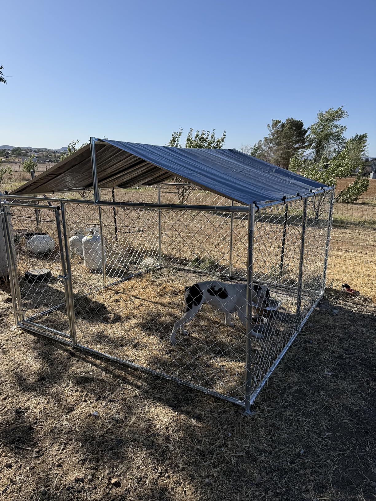 YITAHOME 10'x10' Outdoor Dog Kennel with Metal Dog Gate, Outdoor Dog Pens with Roof, Heavy Duty Dog Kennel for Backyard Farm Use customer photo 1