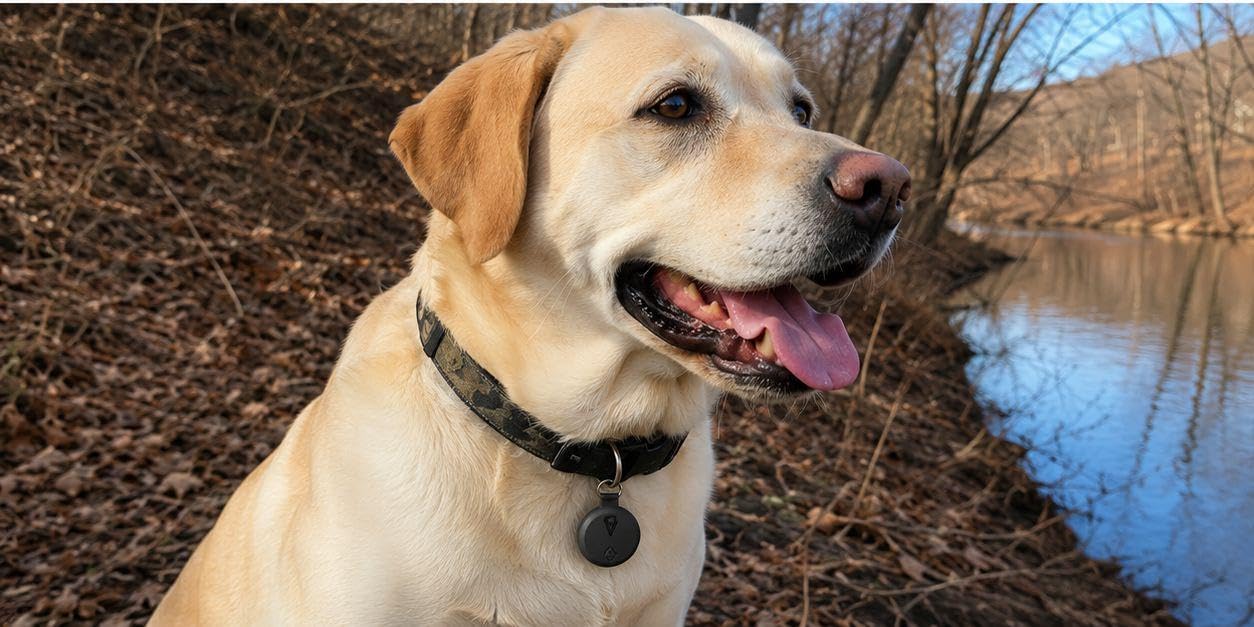 GPS Tracker for Dogs, Pet Location Finder, No Monthly Fee, No SIM Card, Works with Apple Find My App, Ultra-Slim IP68 Waterproof Anti-Lost Tag for Dogs, Cats, Keys, Bags and Luggage 1 Pc customer photo 1