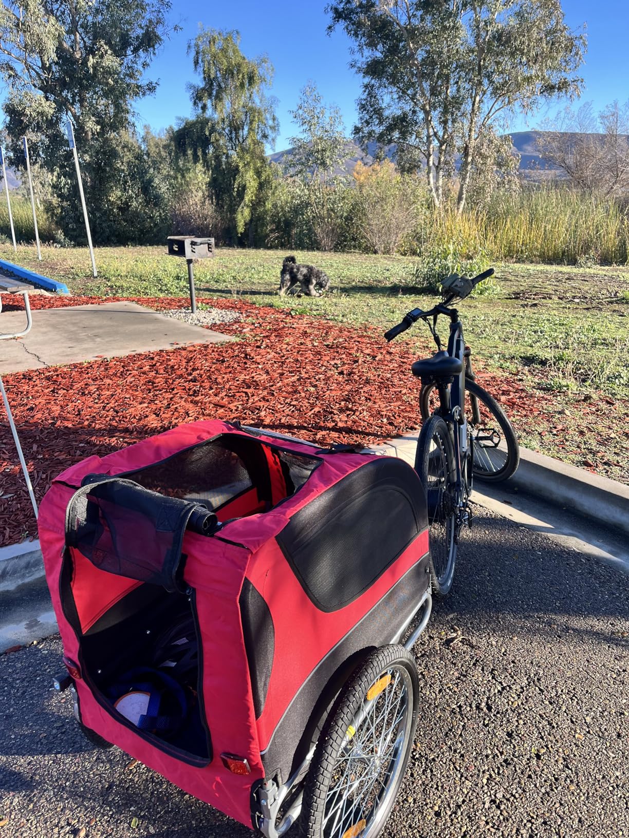 Dog Bike Trailer - HAPPAWS Dog Trailer for Bicycle, Cargo Cycle Trailers Wagon Cart Pet Bike Carrier w/ 3 Doors, Aluminum Wheels, Safety Flag, Easy to Connect&Disconnect, Collapsible to Store customer photo 1