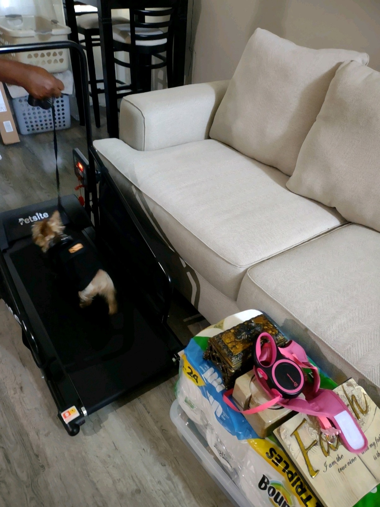 PETSITE Dog Treadmill, Pet Dog Running Machine for Small & Medium-Sized Dogs, Pet Fitness Treadmill with LCD Display Screen, 220 LBS customer photo 2