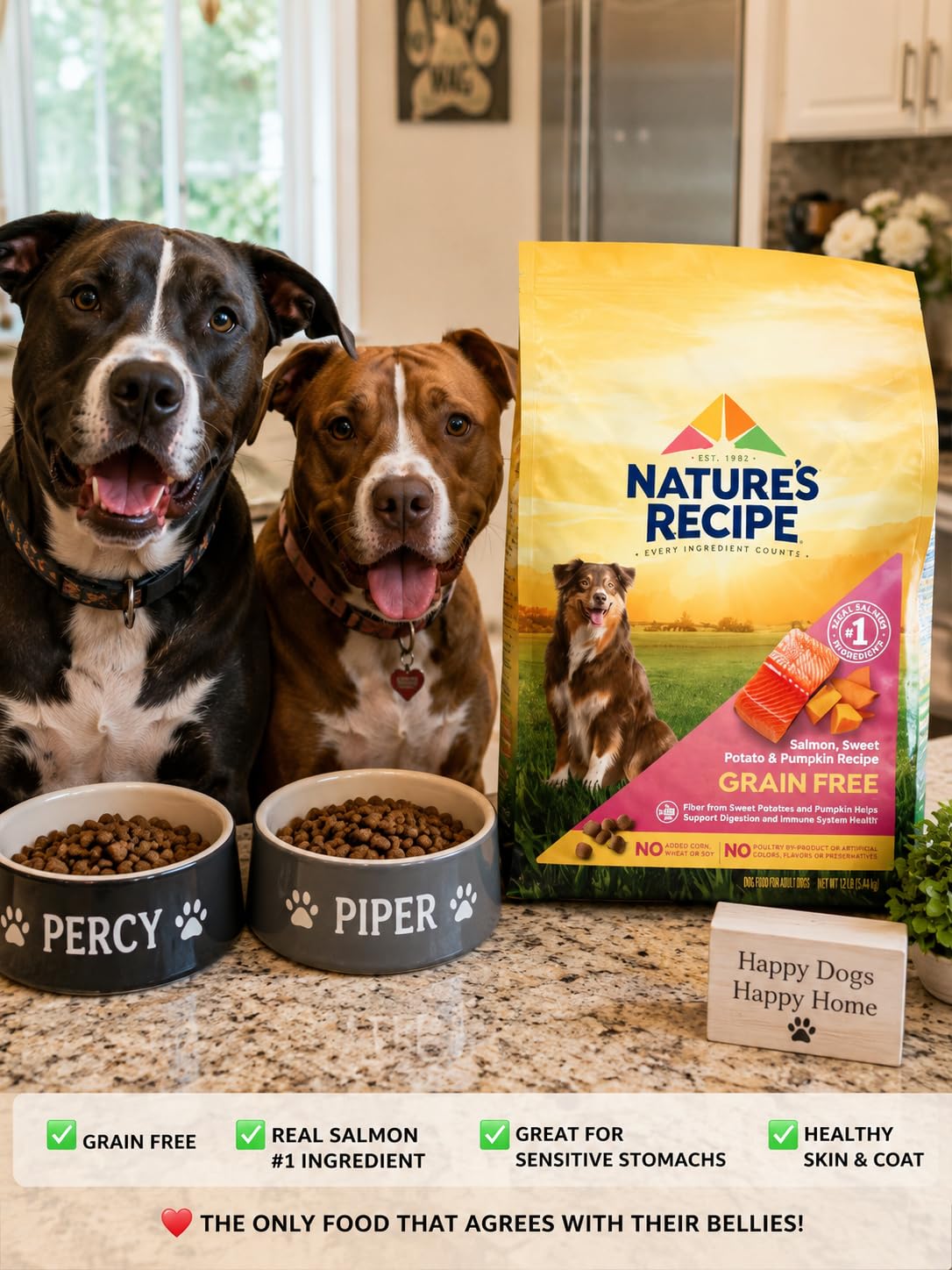 Nature's Recipe Grain Free Salmon Dry Dog Food, 24 lb. Bag | Fiber From Sweet Potatoes & Pumpkin Helps Support Digestion and Immune System Health customer photo 1