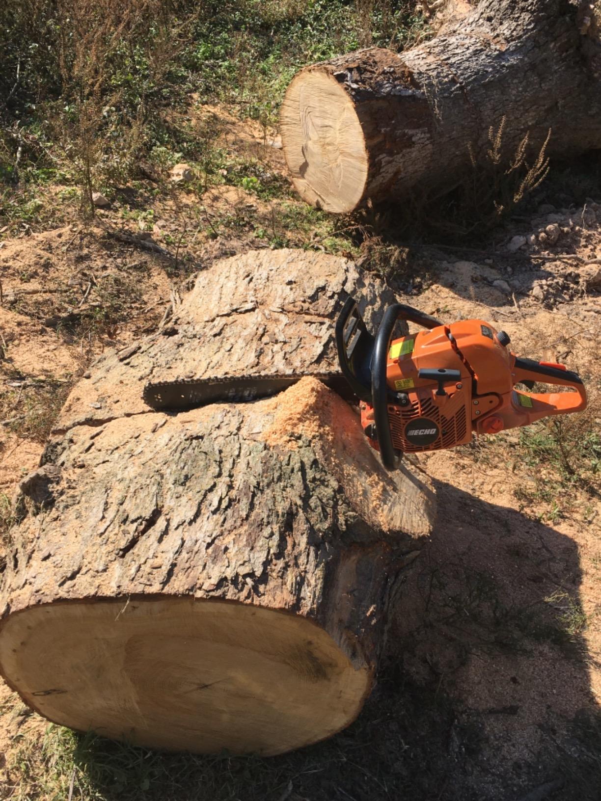 ECHO Chain Saw, Gas, 20 in. Bar, 59.8cc - CS-590-20 customer photo 2
