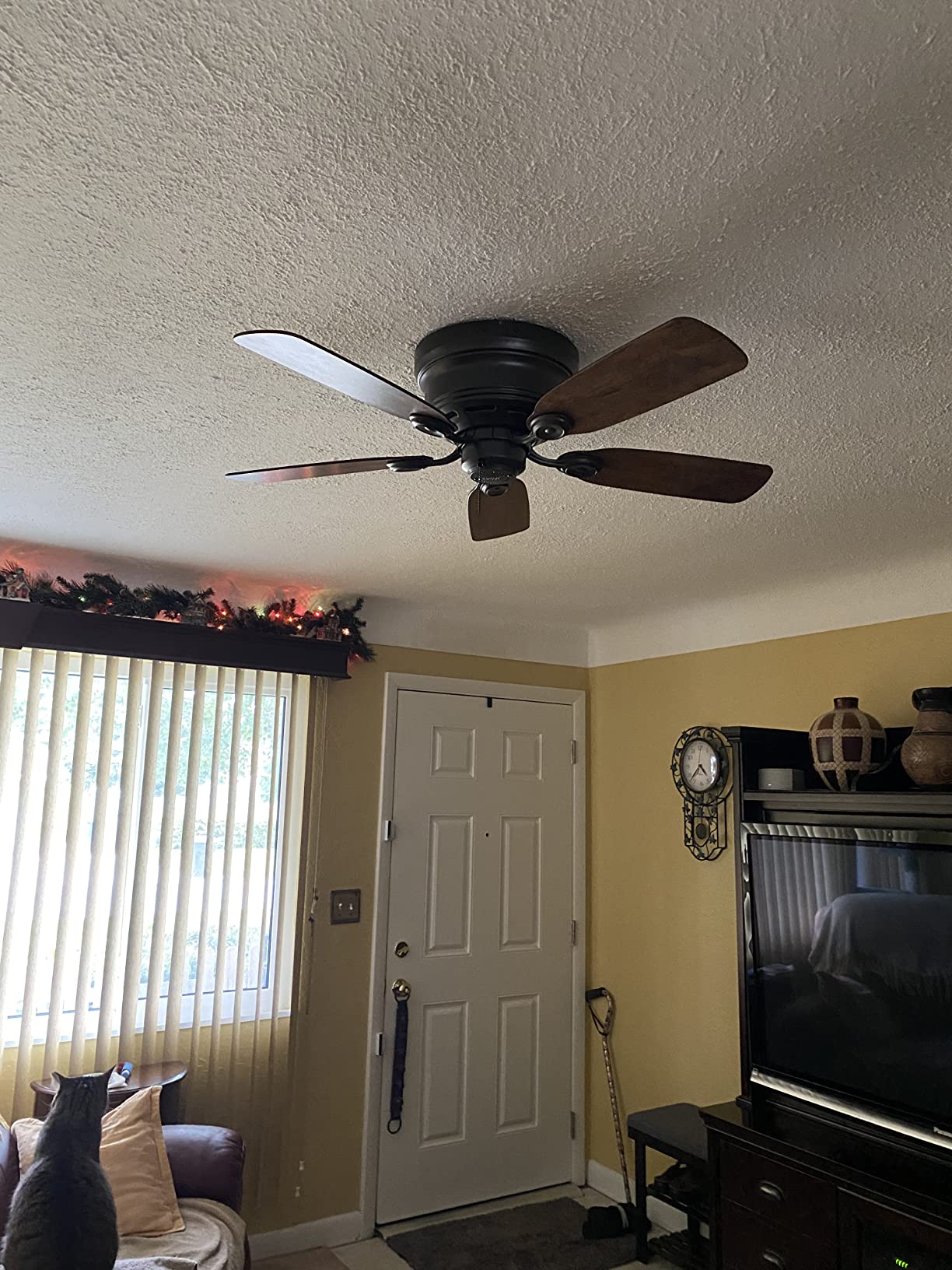 Hunter Low Profile IV, Indoor, Ceiling Fan, No Light, 42 inch, New Bronze | Low Profile Flush Mount, Pull Chain, 5 Blades, For Bedroom, Living Room, Kitchen, 51061 customer photo 2