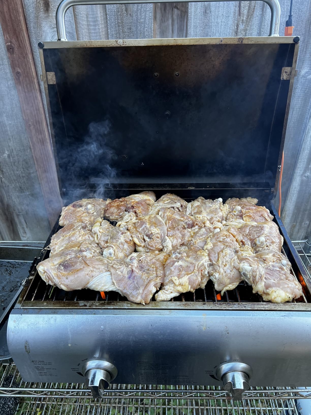 Cuisinart Chef's Style Tabletop Portable Propane Grill, 20,000 BTU Stainless Steel 2-Burner Outdoor Gas Grill for Camping, Tailgates, BBQ, Hassle-Free Setup, Twist-Start Ignition, CGG-306 customer photo 2