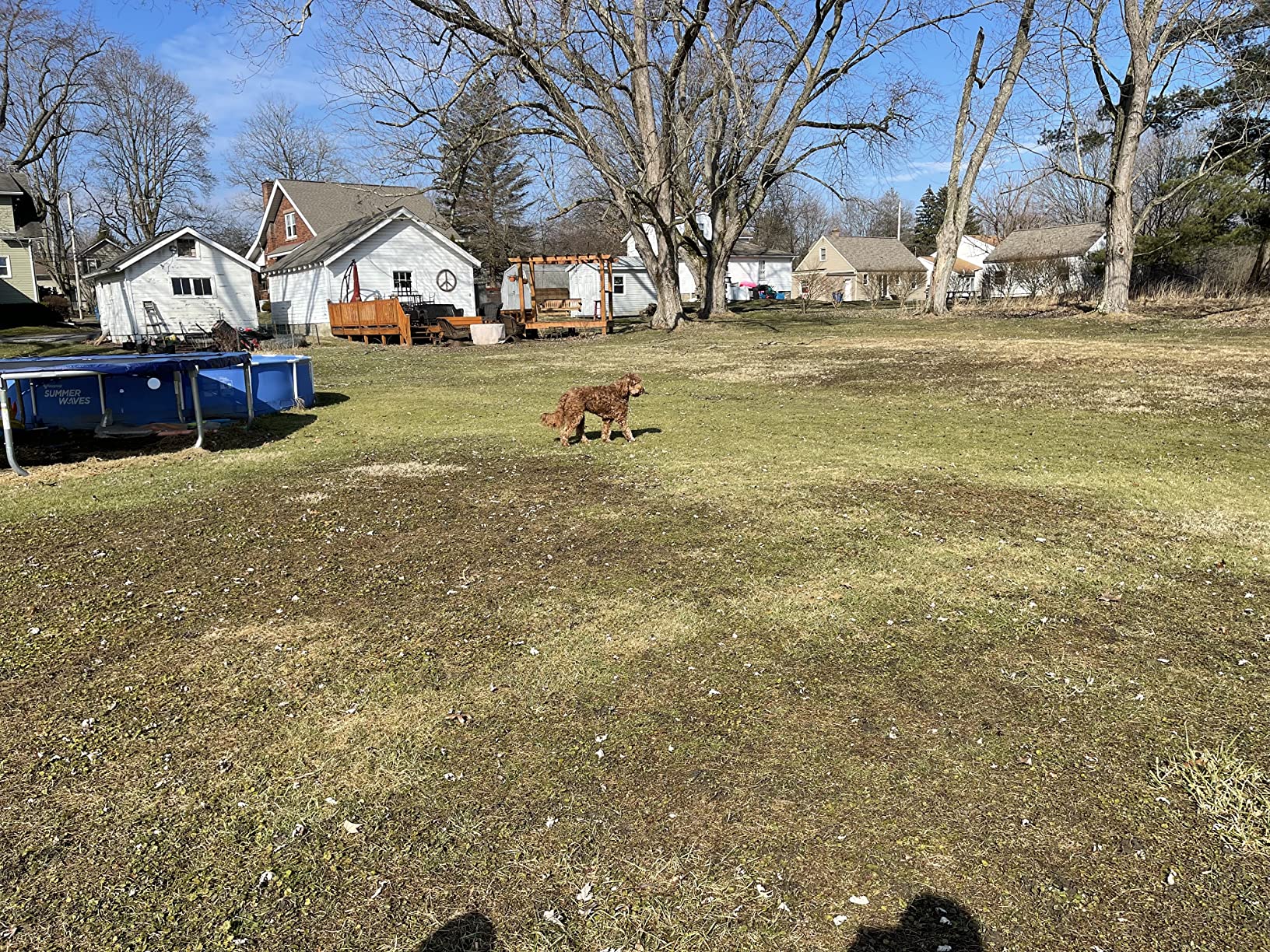 Garmin Pro 70 Dog Training System (010-01201-00) customer photo 1