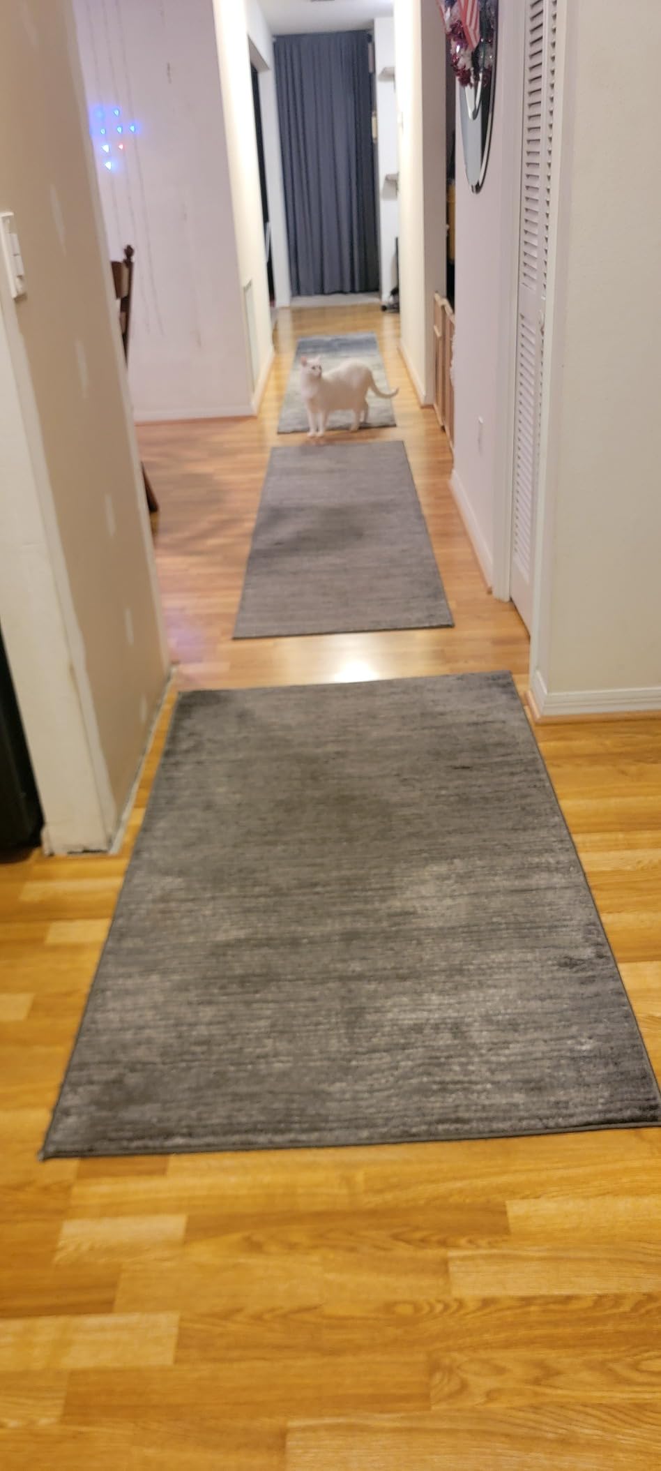 SAFAVIEH Vision Collection Area Rug - 5'1