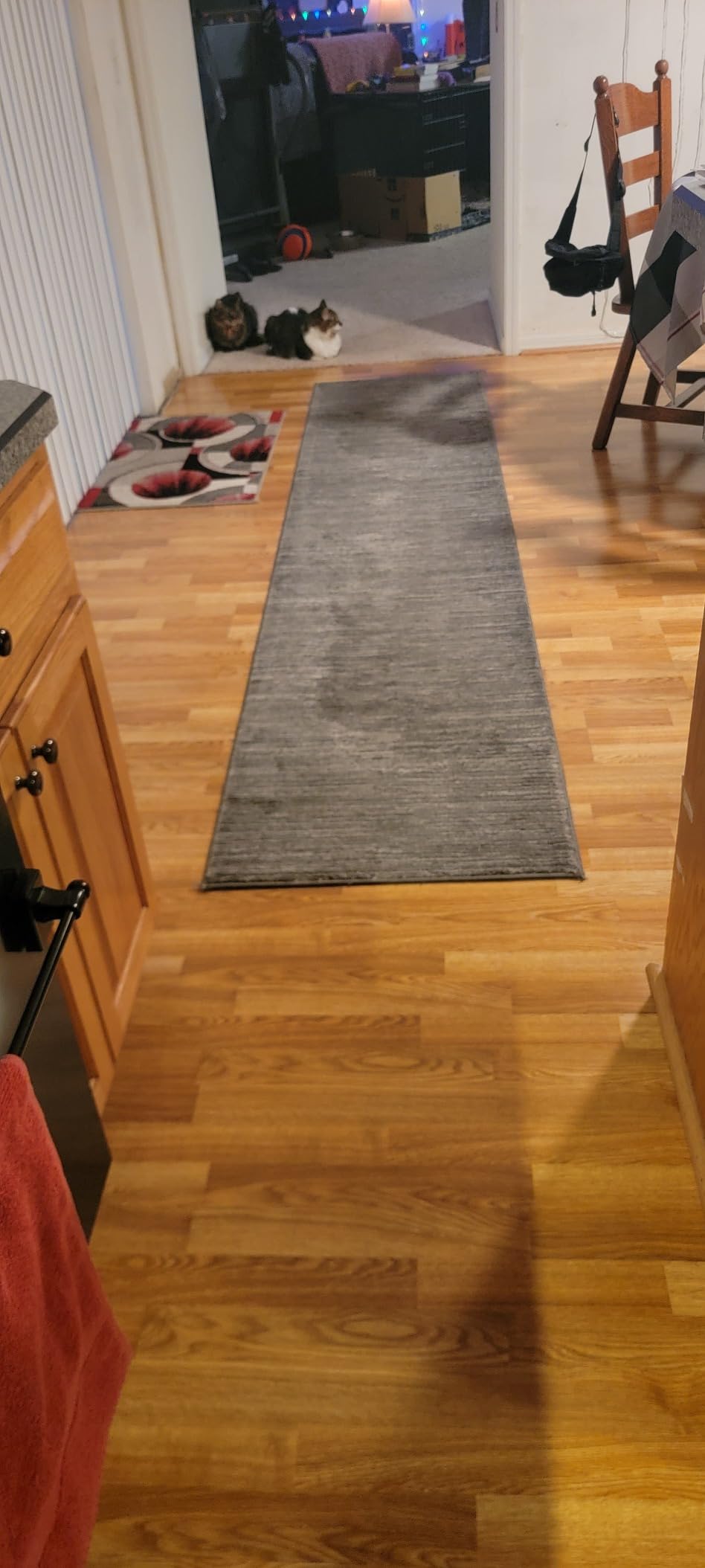 SAFAVIEH Vision Collection Area Rug - 5'1