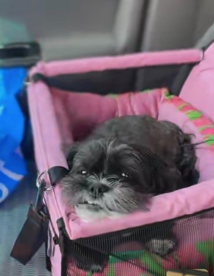 Petbobi Pet Reinforce Car Booster Seat for Dog Cat Portable and Breathable Bag with Seat Belt Dog Carrier Safety Stable for Travel Look Out,with Clip on Leash with PVC Tube, Pink customer photo 1