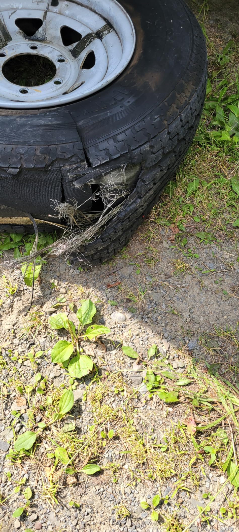FREE COUNTRY Trailer Tire ST225/75R15 Radial 10PR LR E 117N w/Scuff Guard customer photo 2