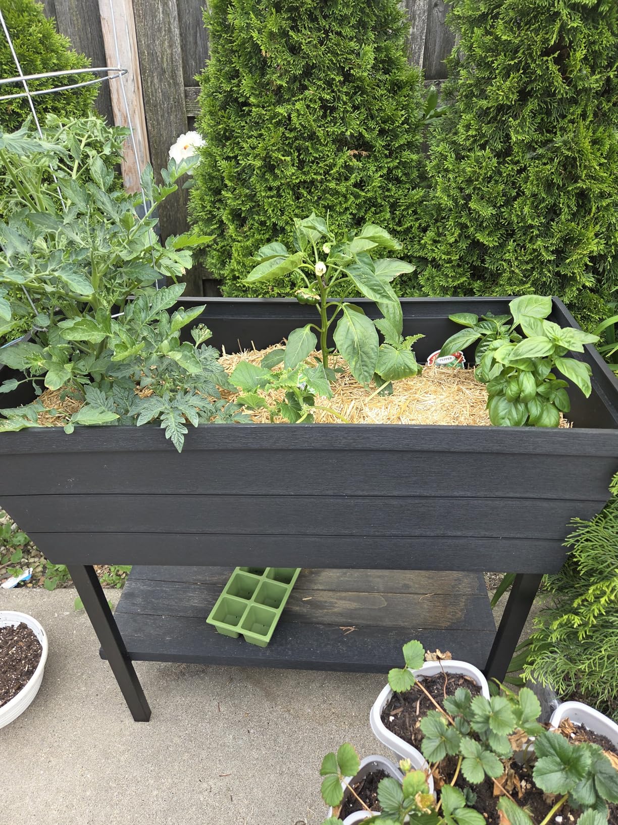 Keter Urban Bloomer 12.7 Gallon Raised Garden Bed and Outdoor Herb Garden Planter with Self Watering Gauge customer photo 1