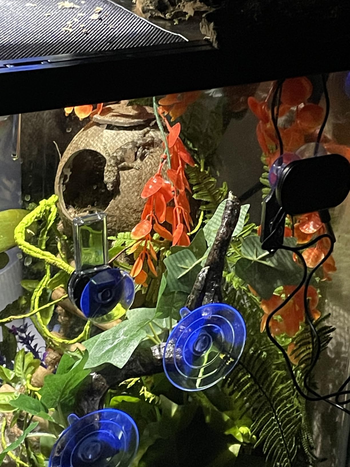 REPTI ZOO Dual Reptile Light Fixture for Reptile Dome UVB Lamp Fixture Dual Reptile Reflector Dome Lamp Cap Combo Integration Design Heat Lighting Lamp Kit customer photo 1