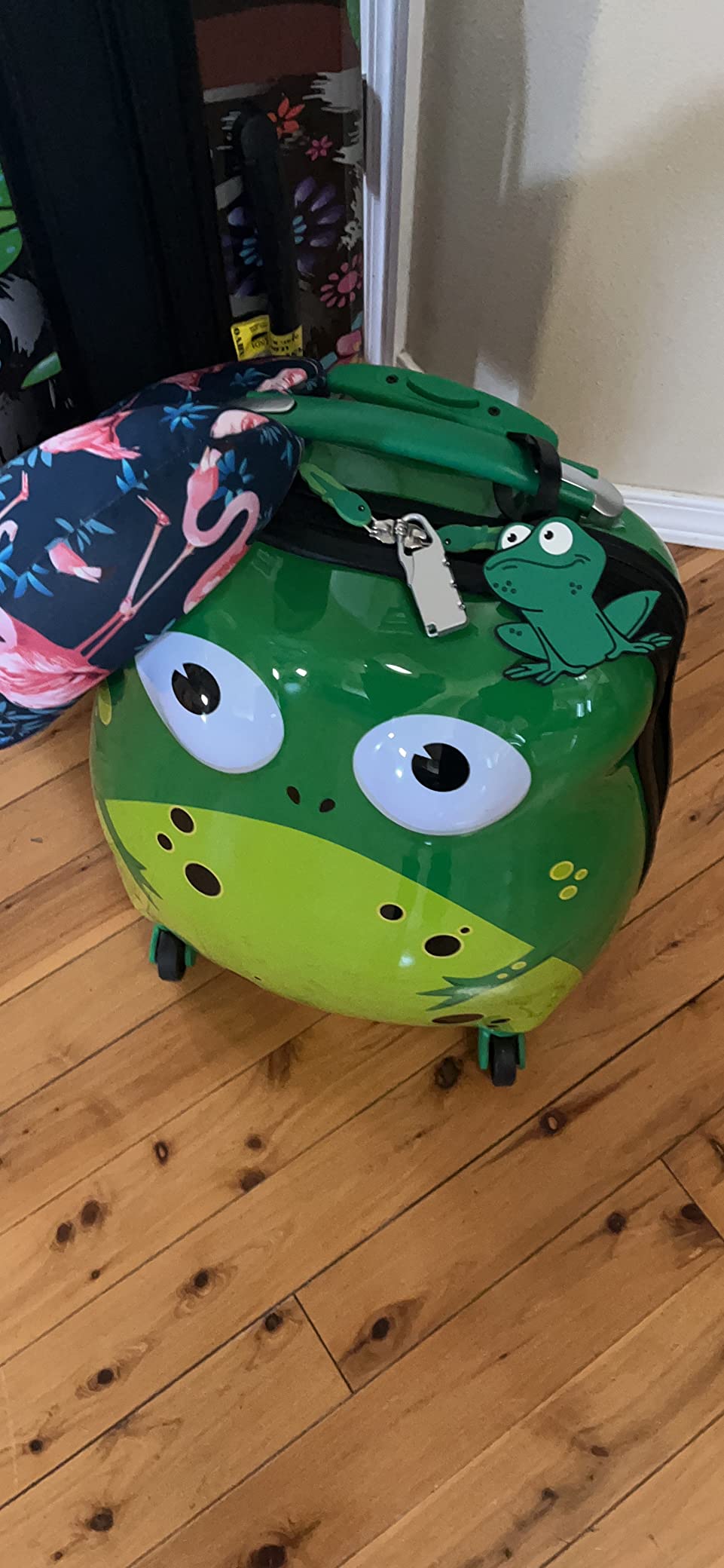 Rockland Jr. Kids' My First Hardside Spinner Luggage, Expandable, Frog, Carry-On 19-Inch customer photo 2