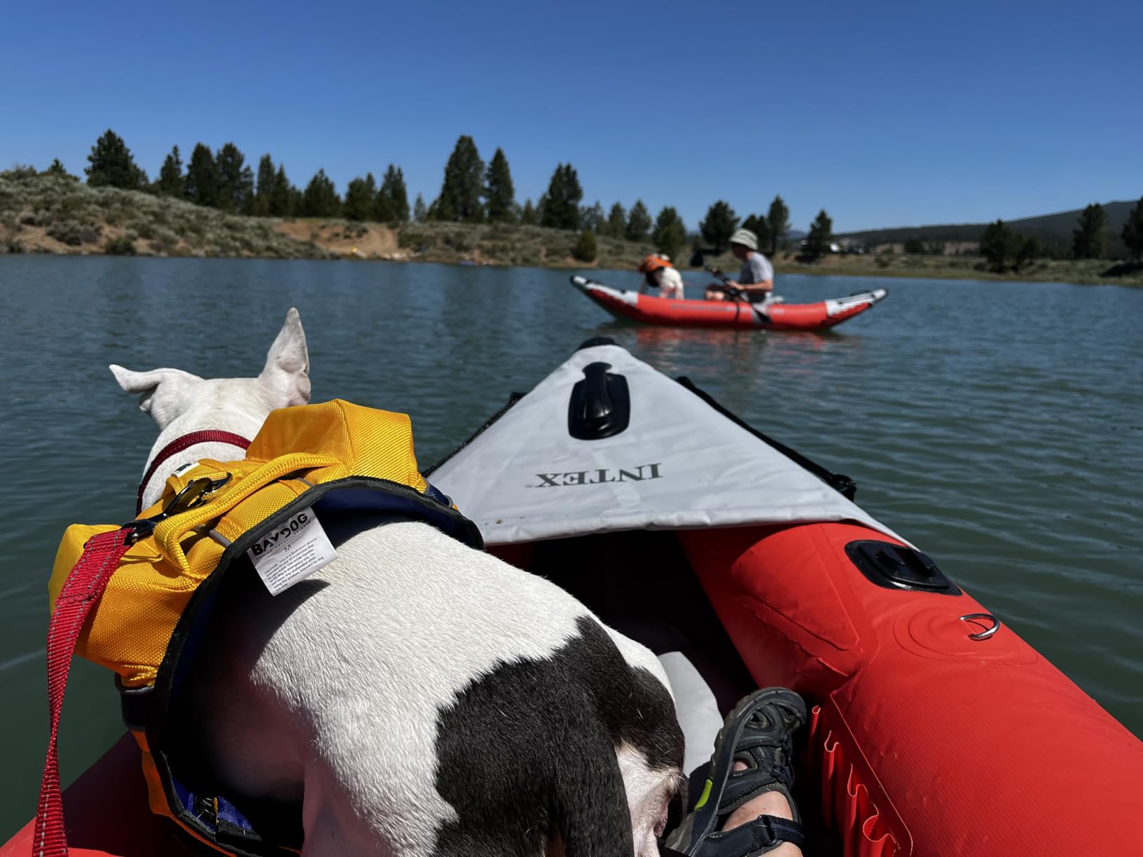 INTEX 68309EP Excursion Pro K2 Inflatable Kayak Set: Includes Deluxe 86in Kayak Paddles and High-Output Pump - SuperTough PVC - Adjustable Bucket Seat - 2-Person - 400lb Weight Capacity customer photo 2