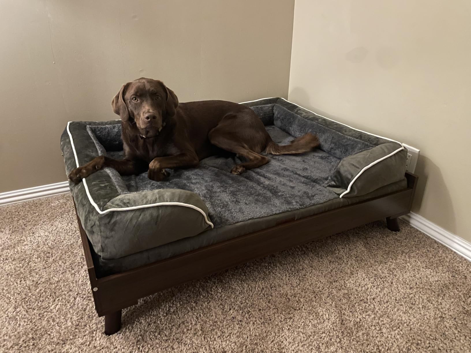 Furhaven Elevated Dog Bed Frame for 36