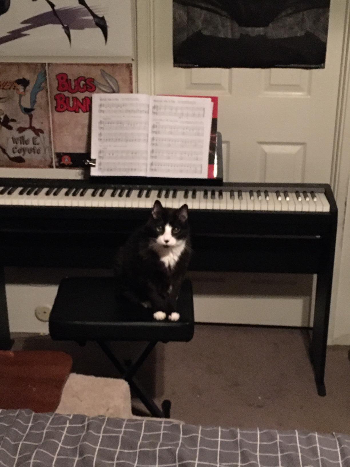 Roland FP-10 | Compact 88-Note Digital Piano | SuperNATURAL Piano Tones | Authentic Acoustic Feel Keyboard | Bluetooth & MIDI Connectivity customer photo 2