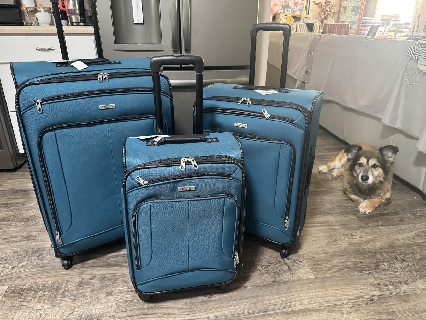 Samsonite Pop Max Softside Luggage with Spinner Wheels, Teal, 3-Piece Set (21/25/29) customer photo 1