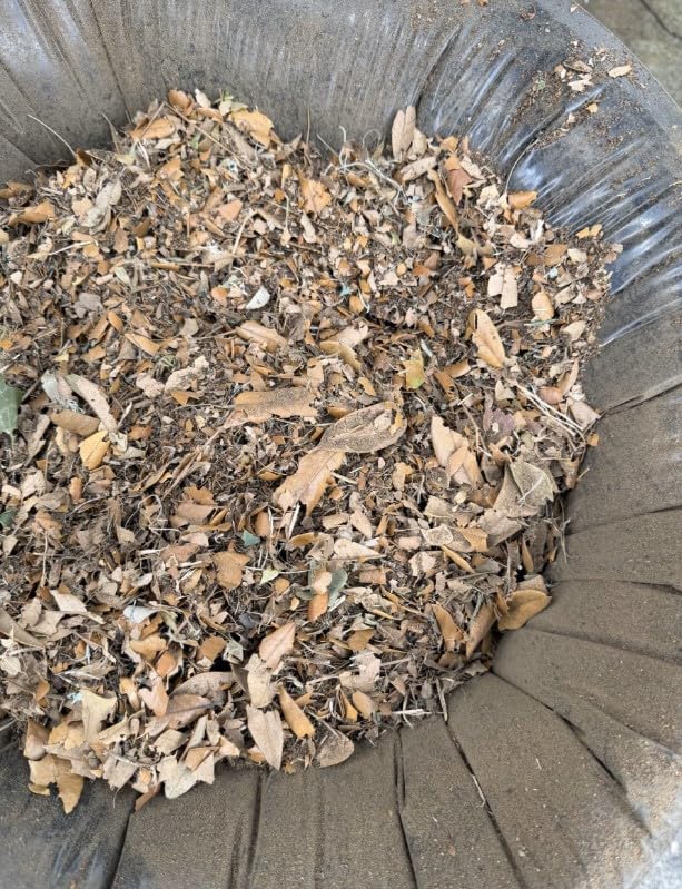 WORX Trivac 3 in 1 Electric Leaf Blower for Lawn Care, Leaf Vacuum with 600 CFM, Leaf Mulcher with Metal Impeller, WG512 customer photo 1