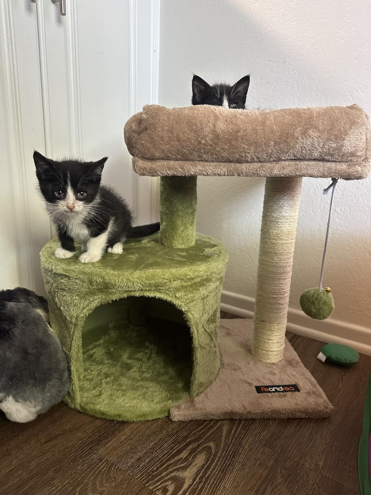 Feandrea Cat Tree, Small Cat Tower with Sisal Scratching Post, Plush Condo with Padded Perch, for Small Spaces, Kittens, Smoky Gray UPCT50G customer photo 2